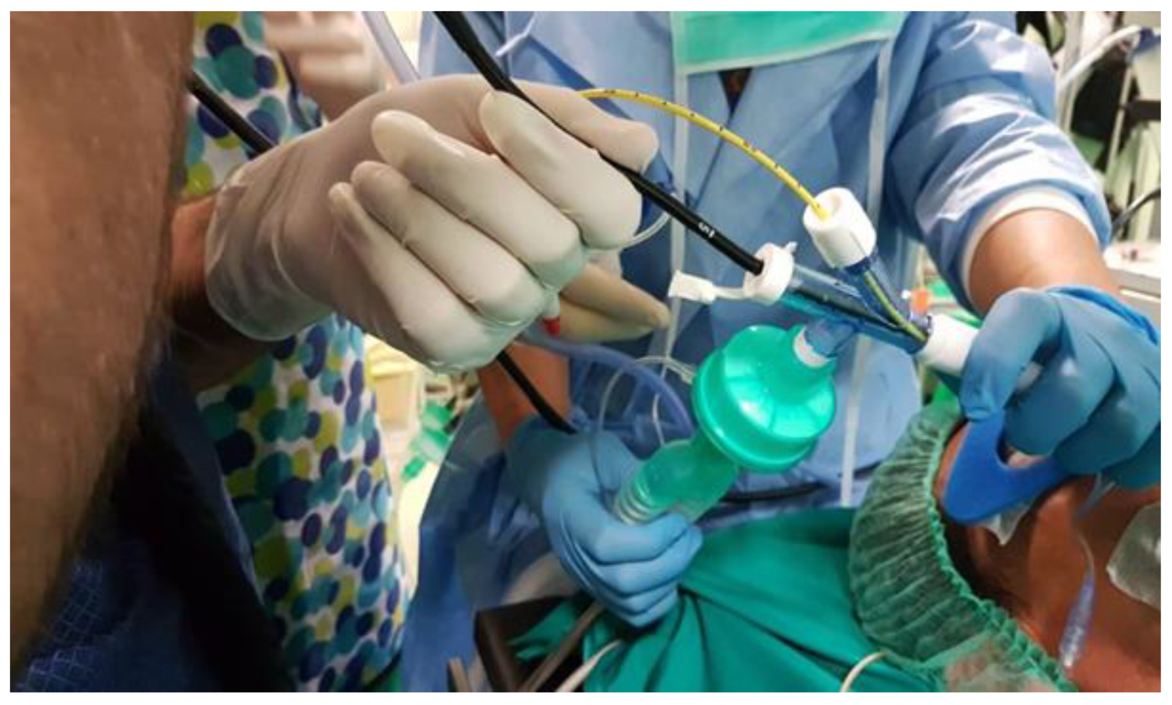 Medicina 55 00606 g001