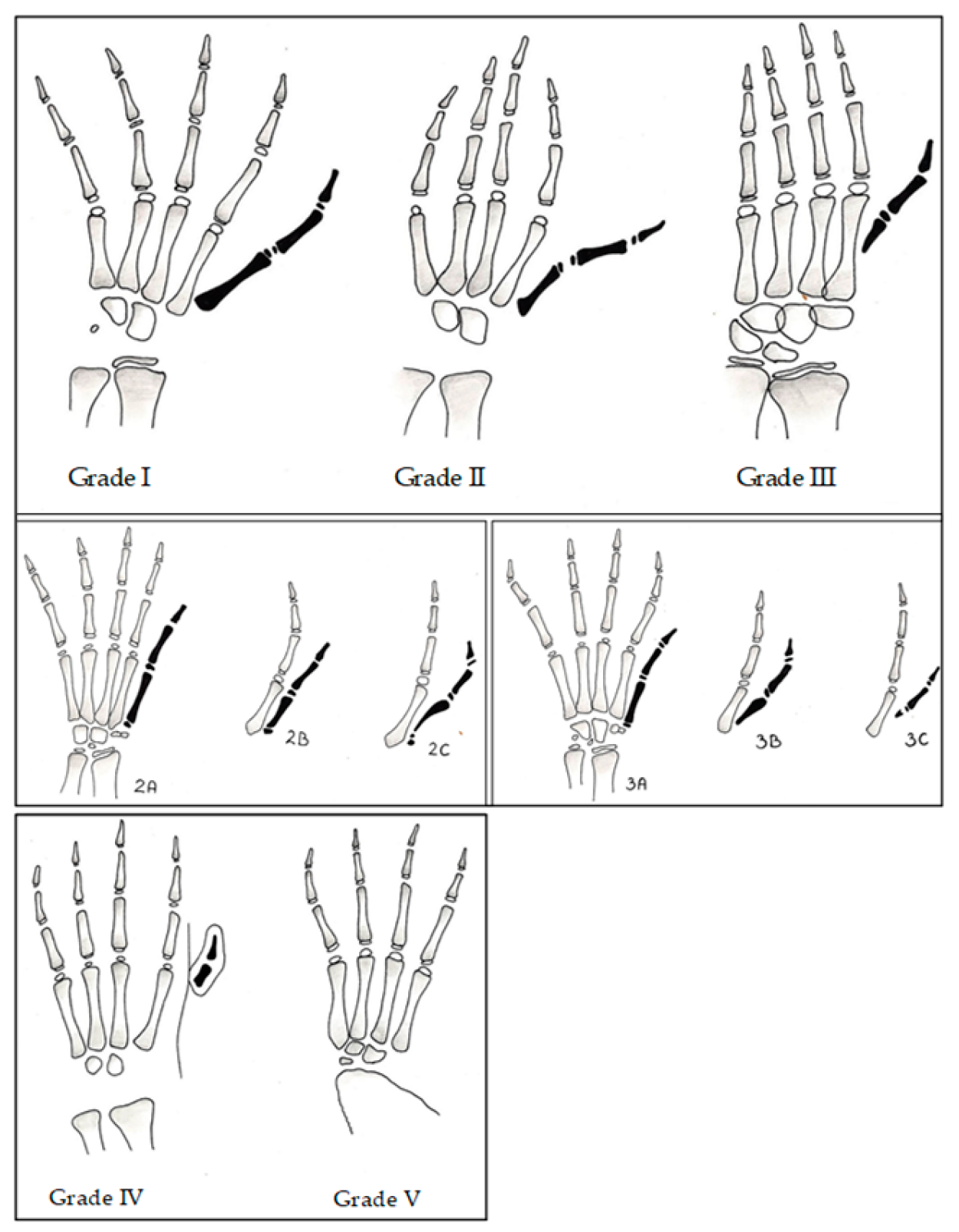 Medicina 55 00610 g001 550