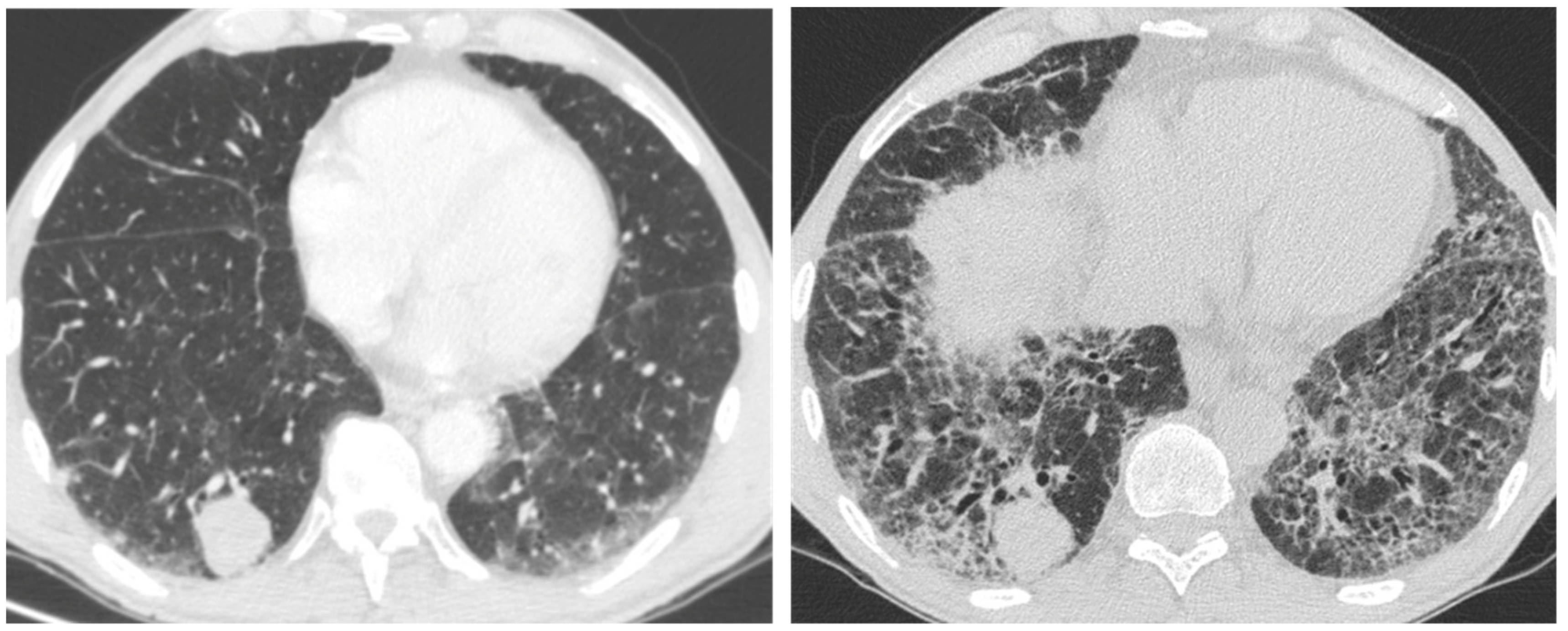 Medicina 55 00613 g012 550