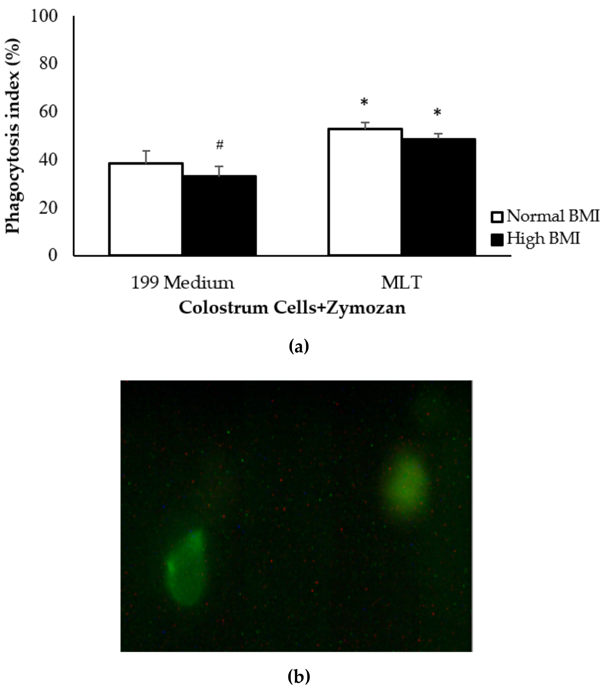Medicina 55 00625 g002