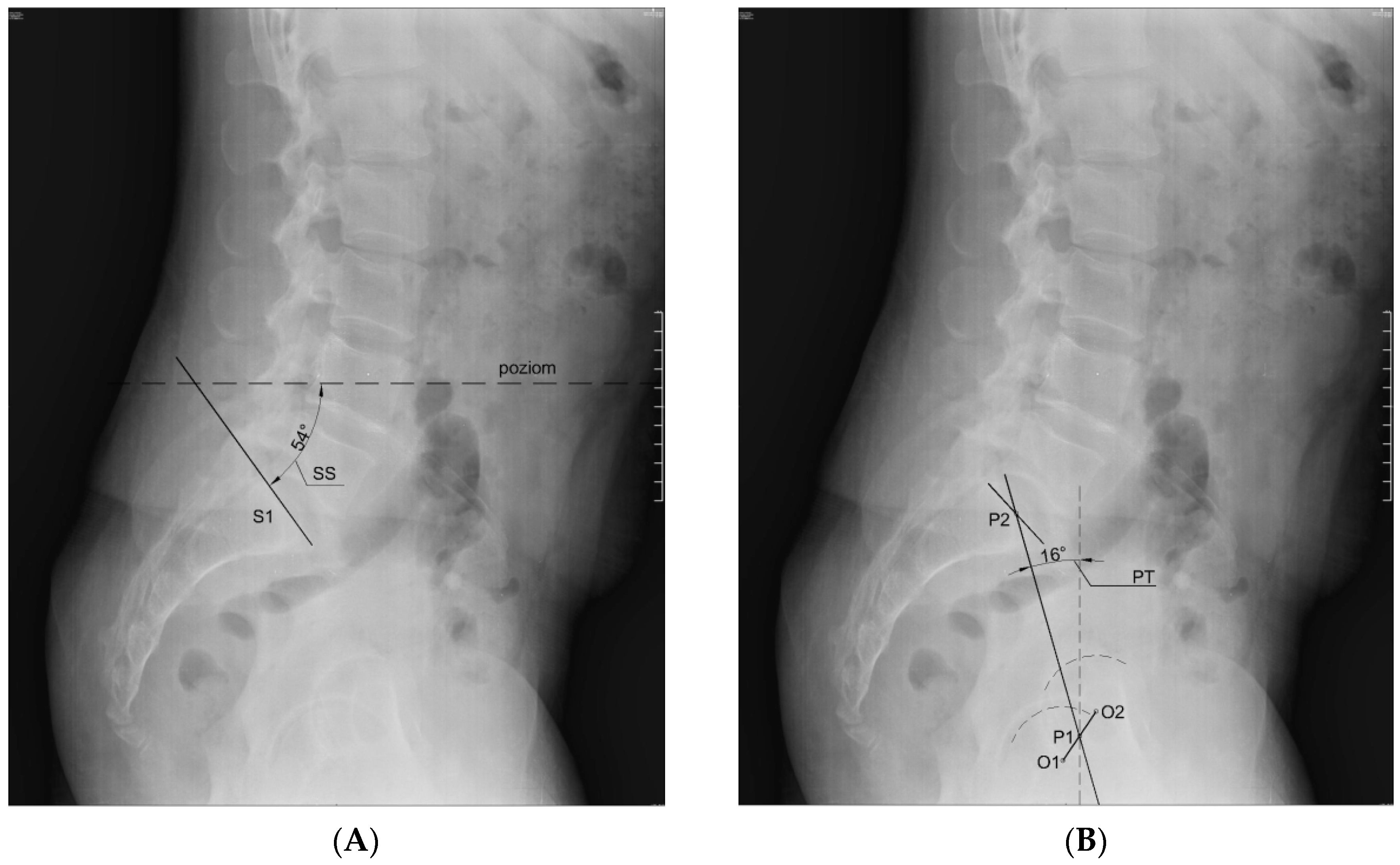 Medicina 55 00627 g001a