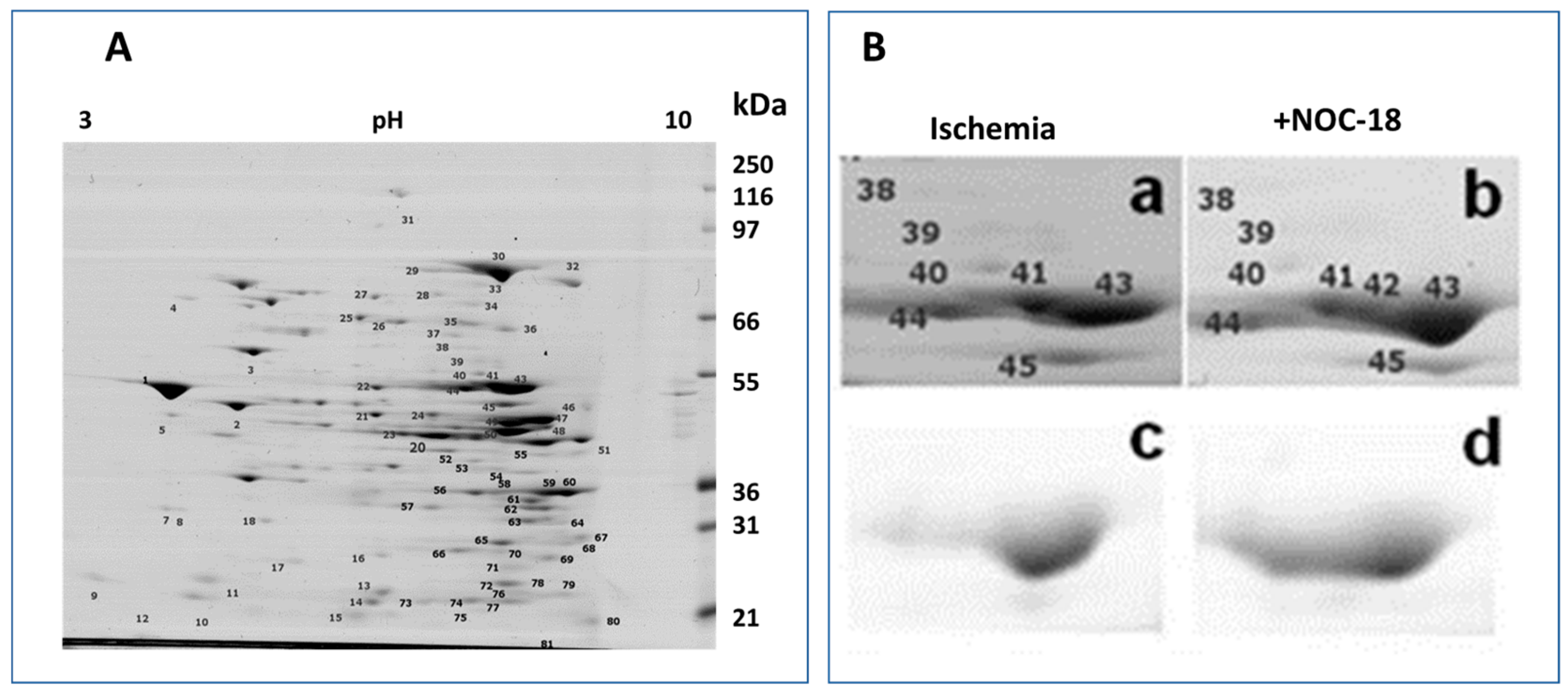 Medicina 55 00631 g001