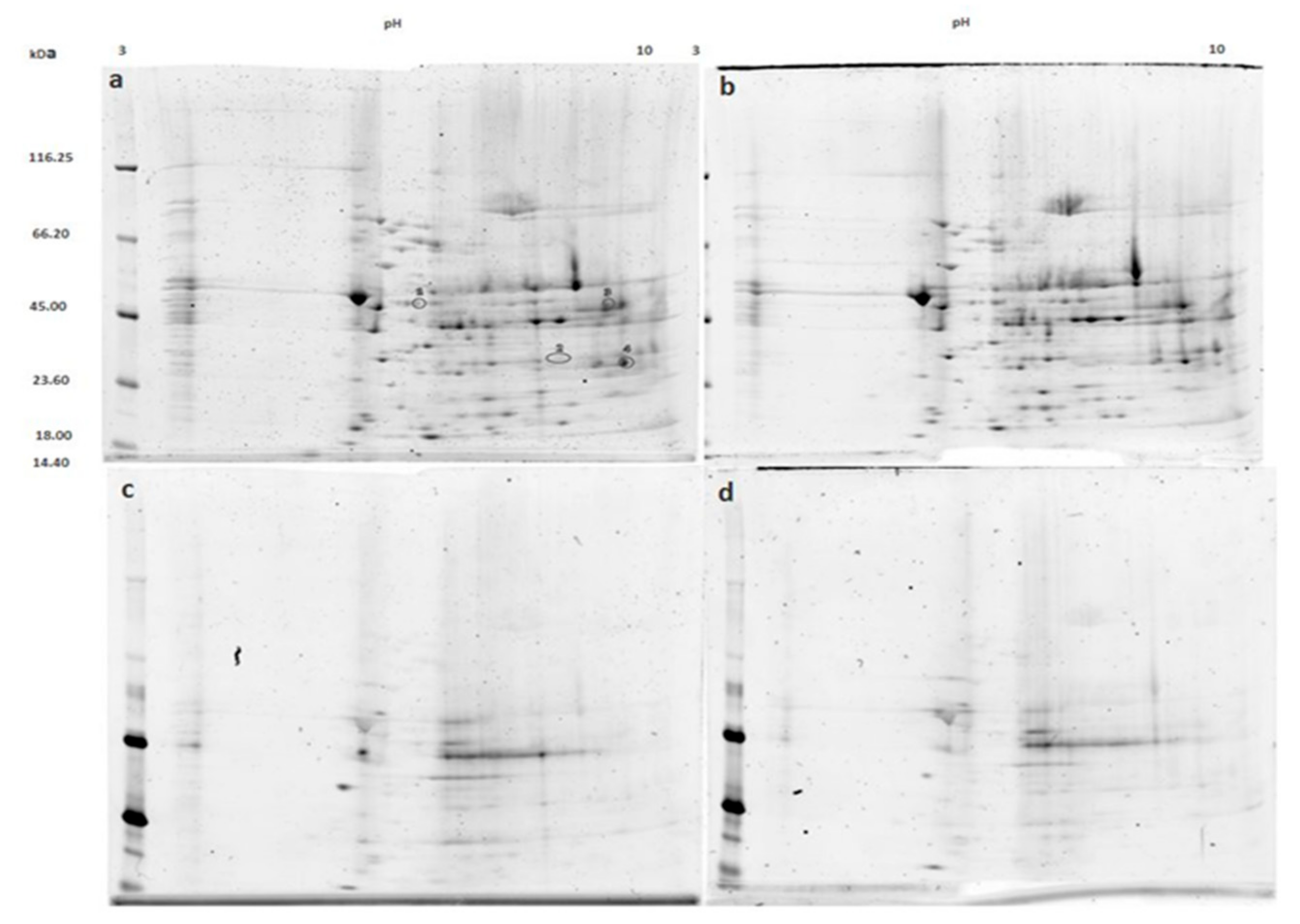 Medicina 55 00631 g002