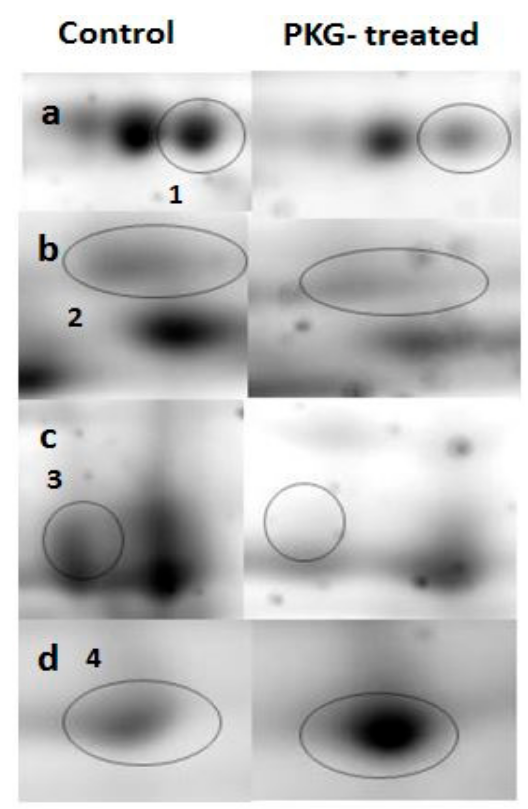 Medicina 55 00631 g003
