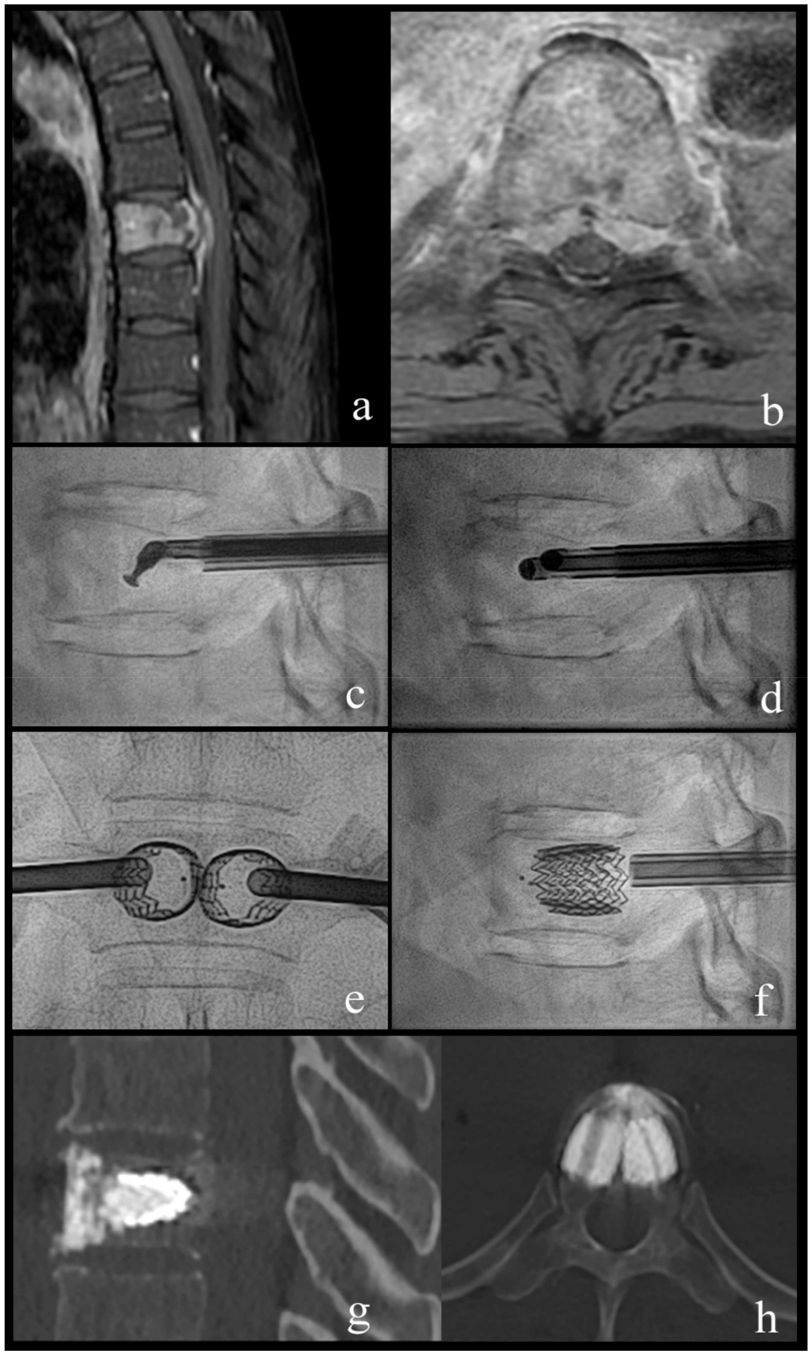 Medicina 55 00633 g002 550