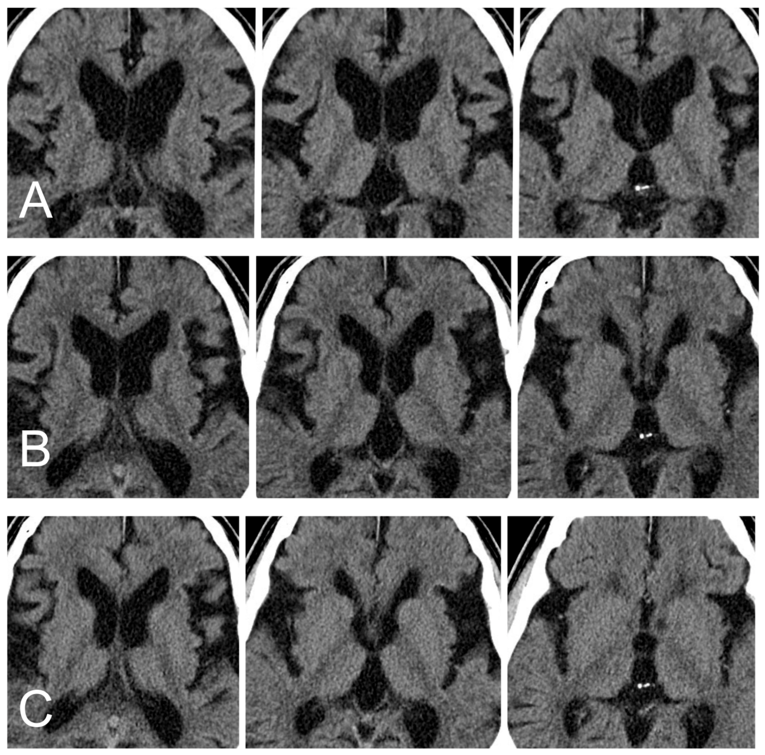 Medicina 55 00643 g004 550