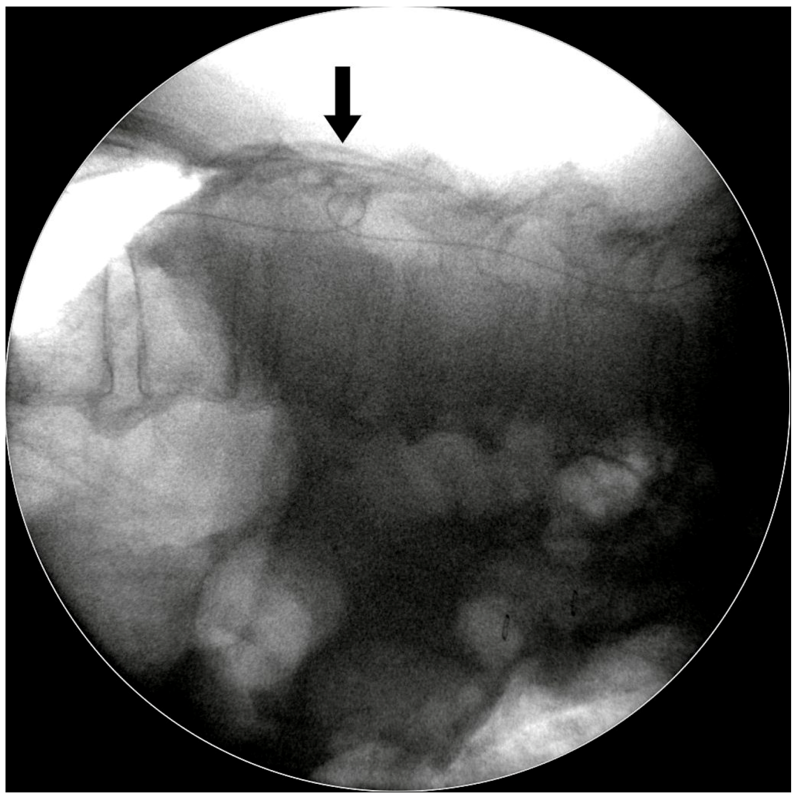 Medicina 55 00643 g005 550
