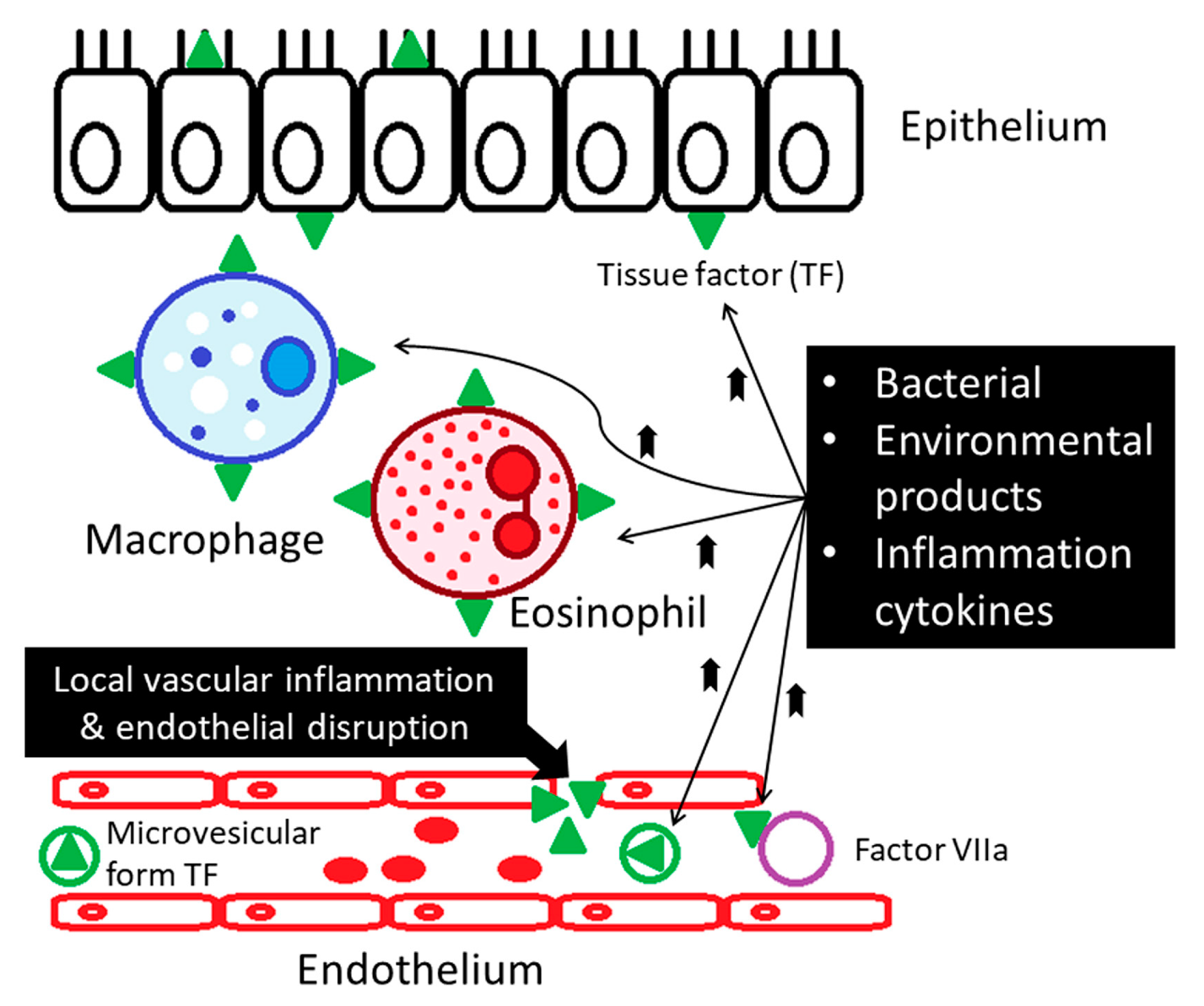Medicina 55 00647 g003