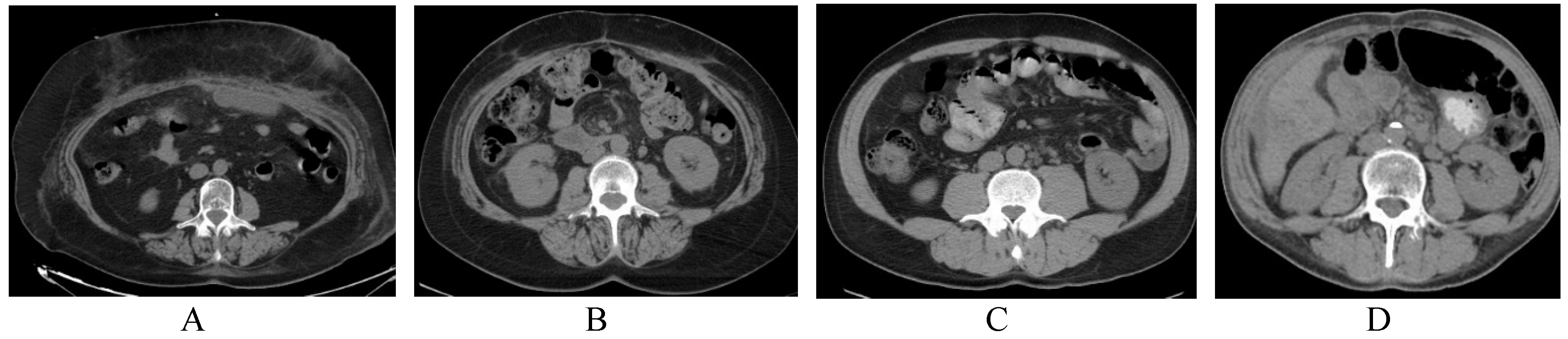 Medicina 55 00649 g002 Medicina 55 00649 g002