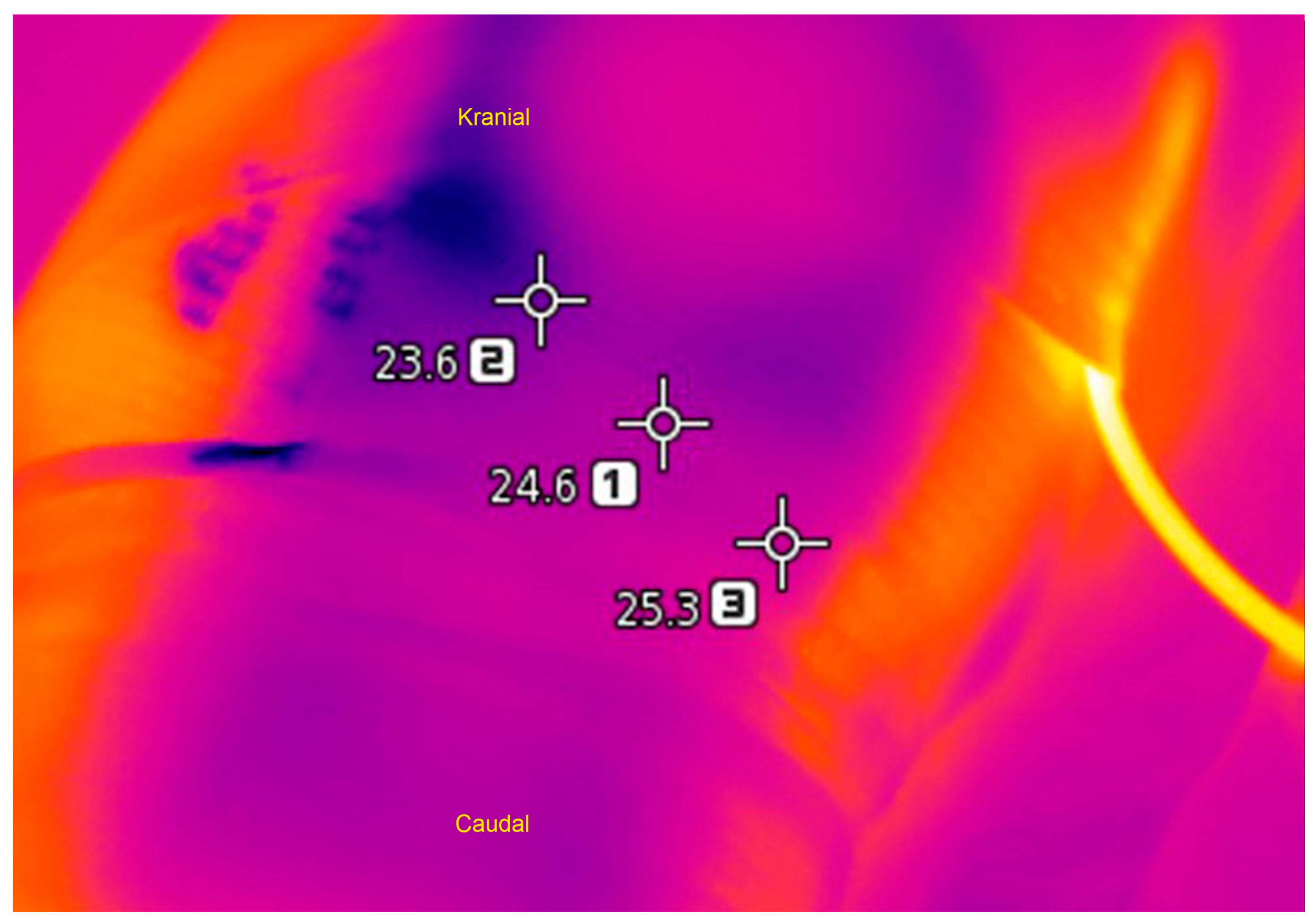 Medicina 55 00661 g003