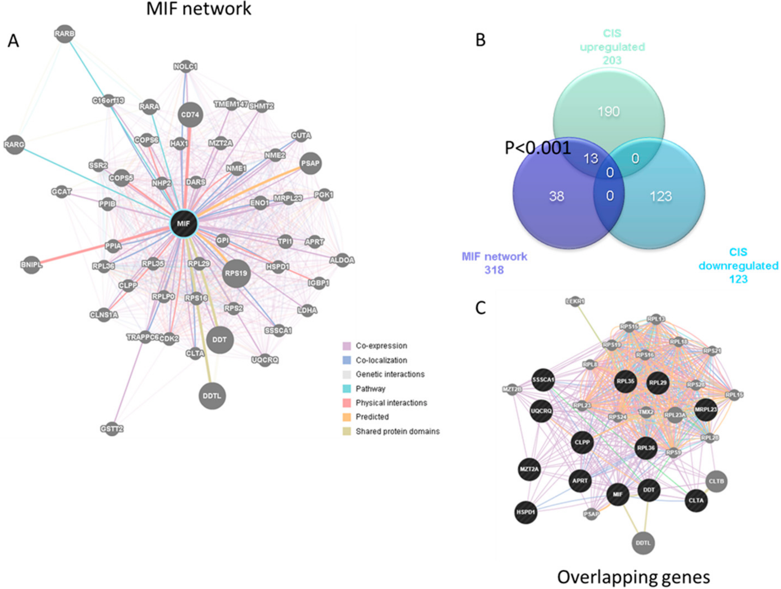 Medicina 55 00667 g002