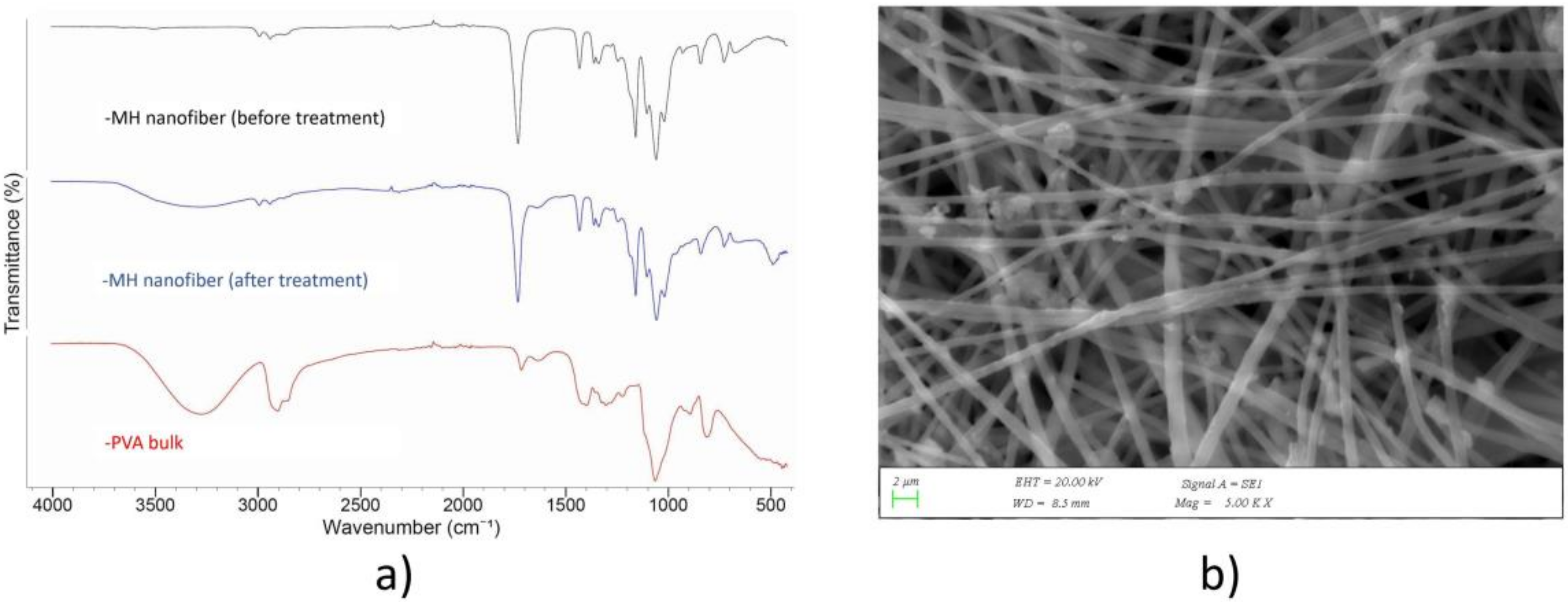 Medicina 55 00682 g004 Medicina 55 00682 g004