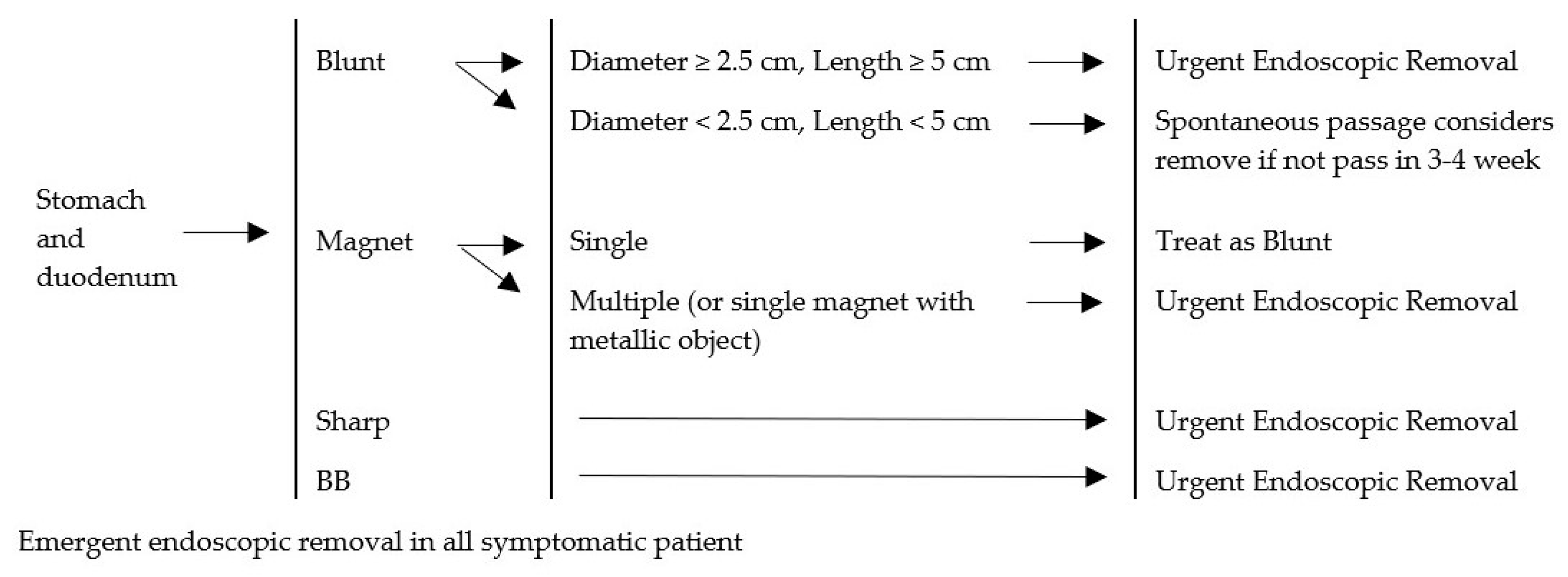 Medicina 55 00686 g004