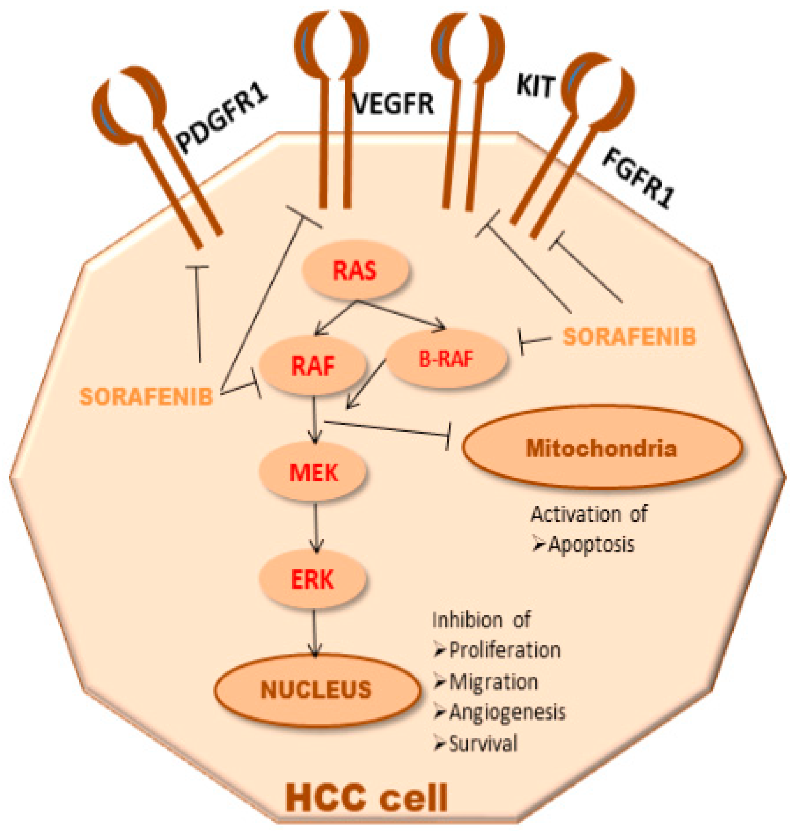 Medicina 55 00707 g001