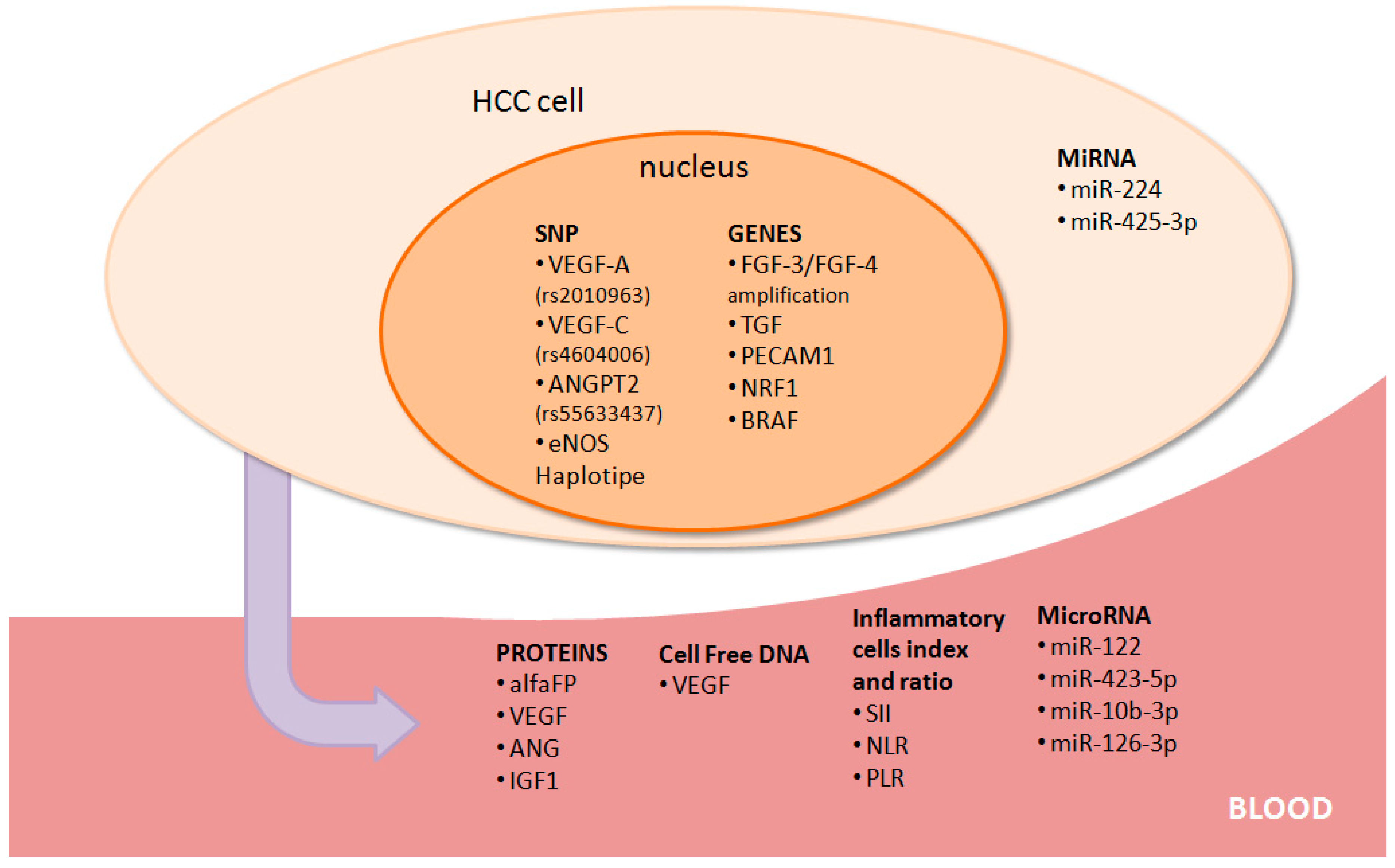 Medicina 55 00707 g002