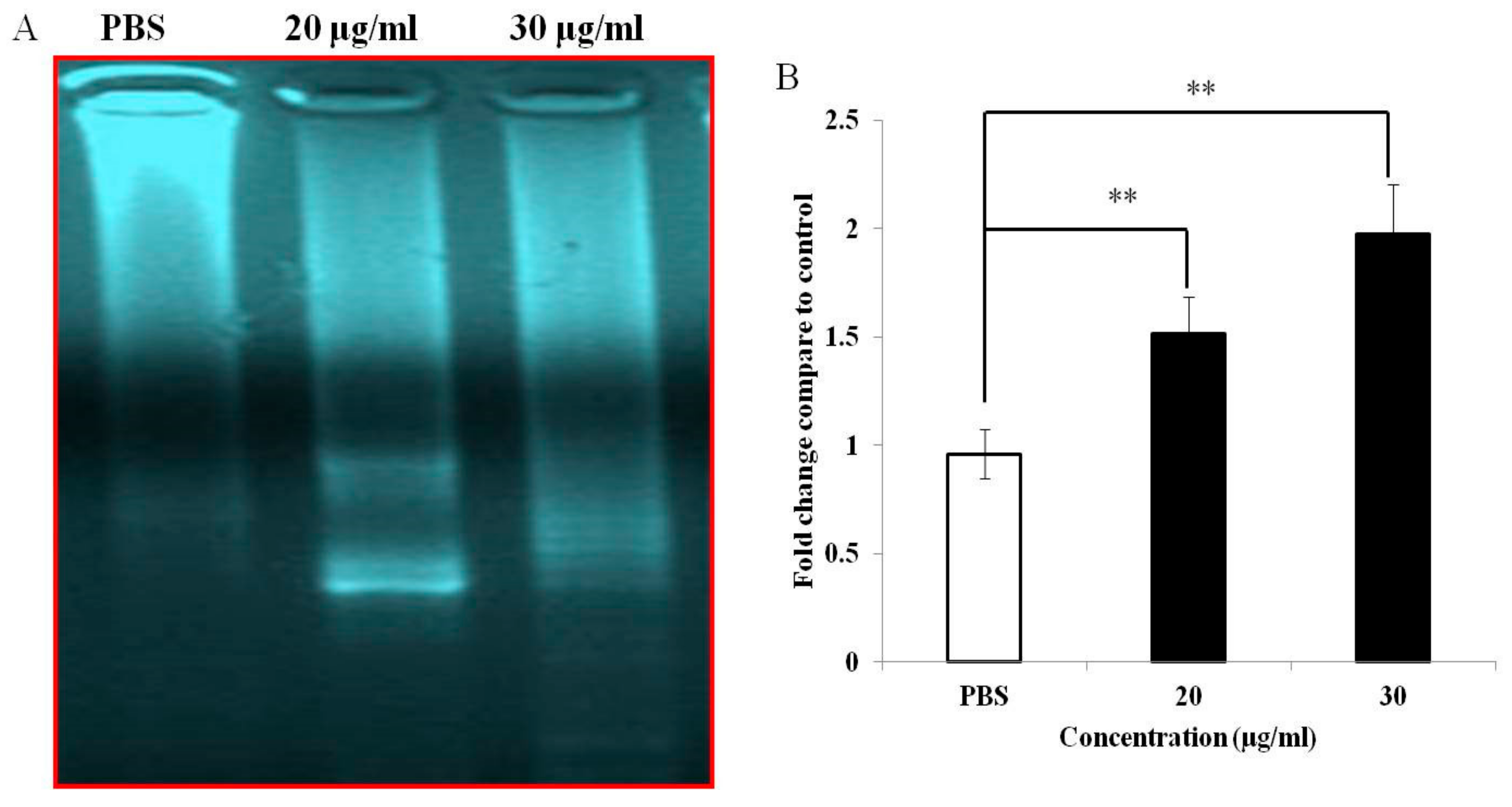 Medicina 55 00716 g004 Medicina 55 00716 g004