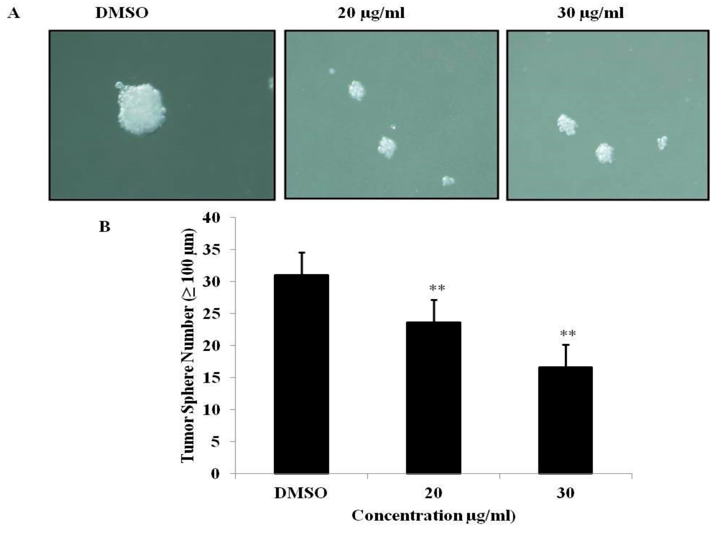 Medicina 55 00716 g006 Medicina 55 00716 g006