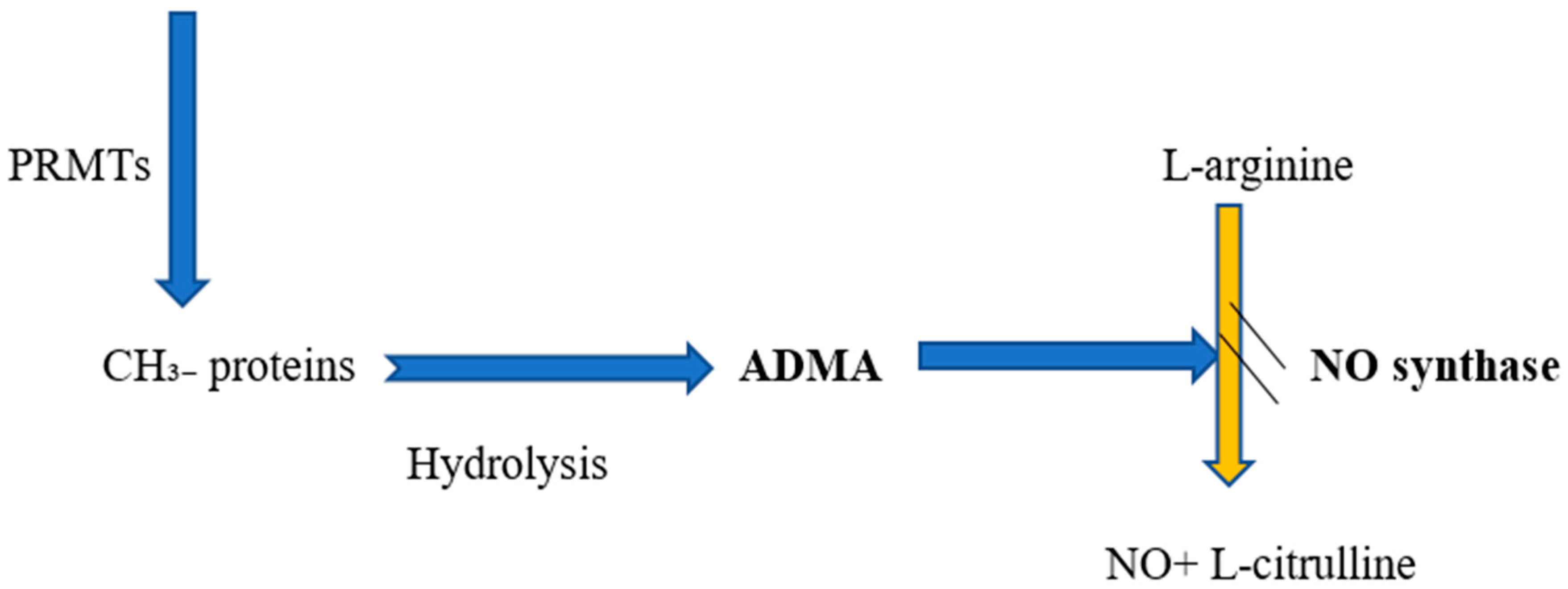 Medicina 55 00718 g001