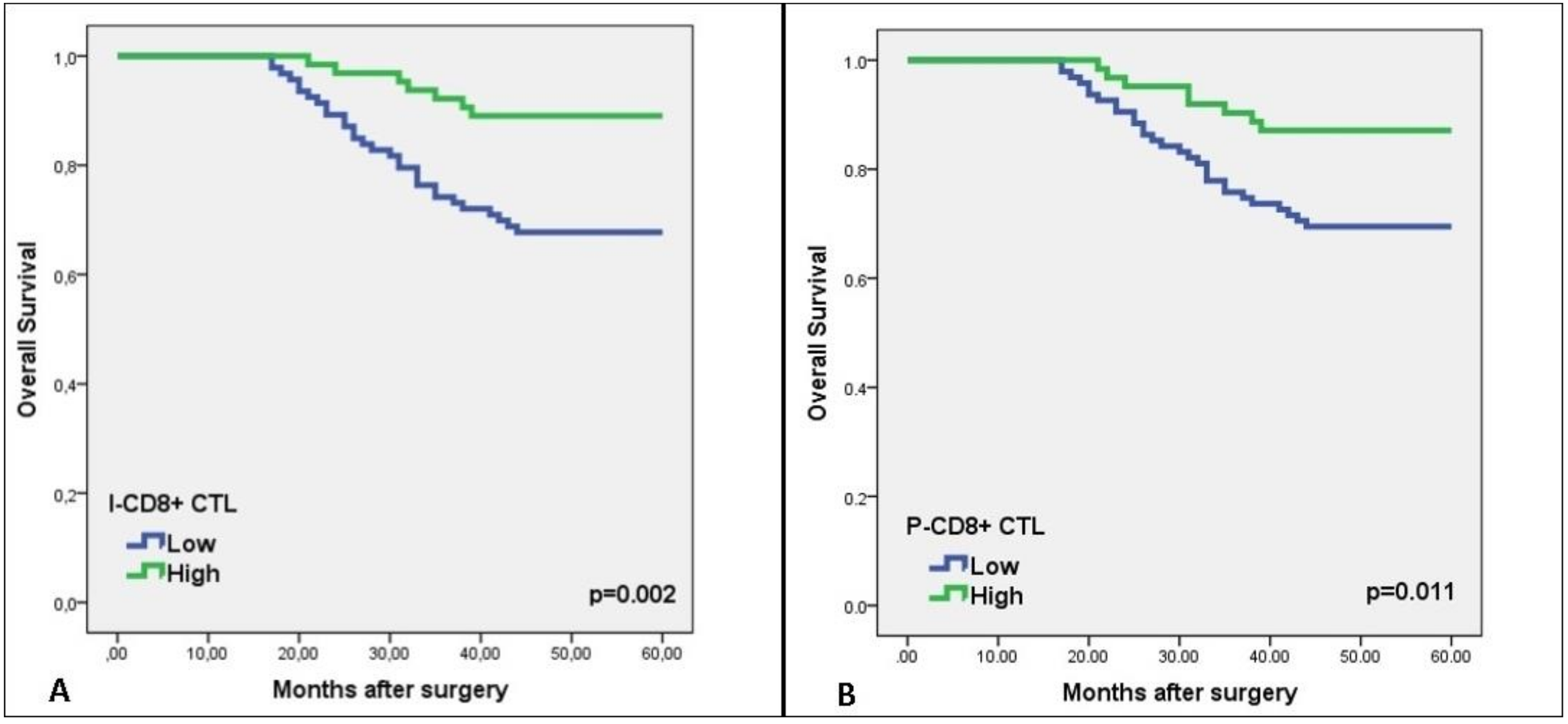 Medicina 55 00723 g002