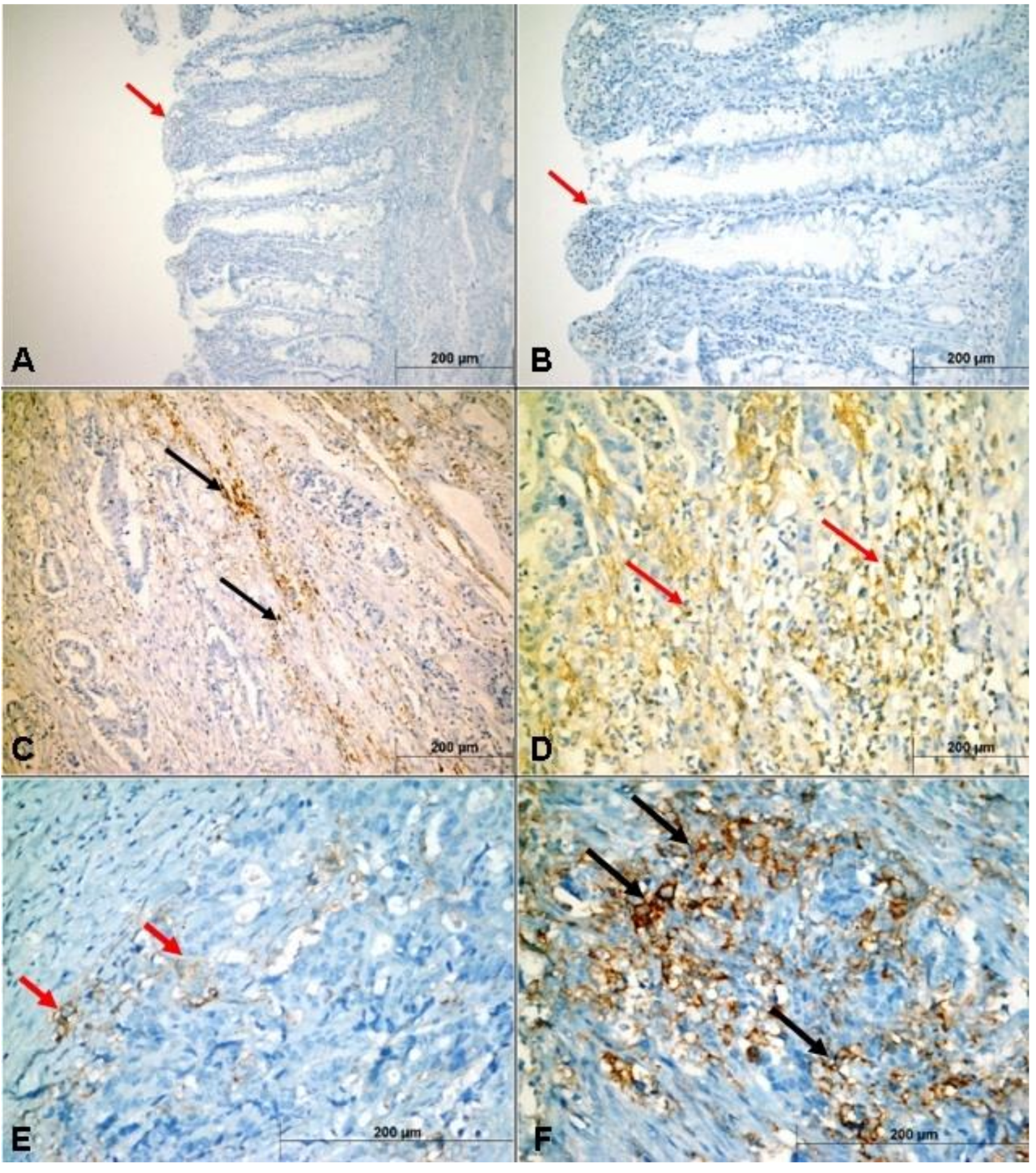 Medicina 55 00723 g003