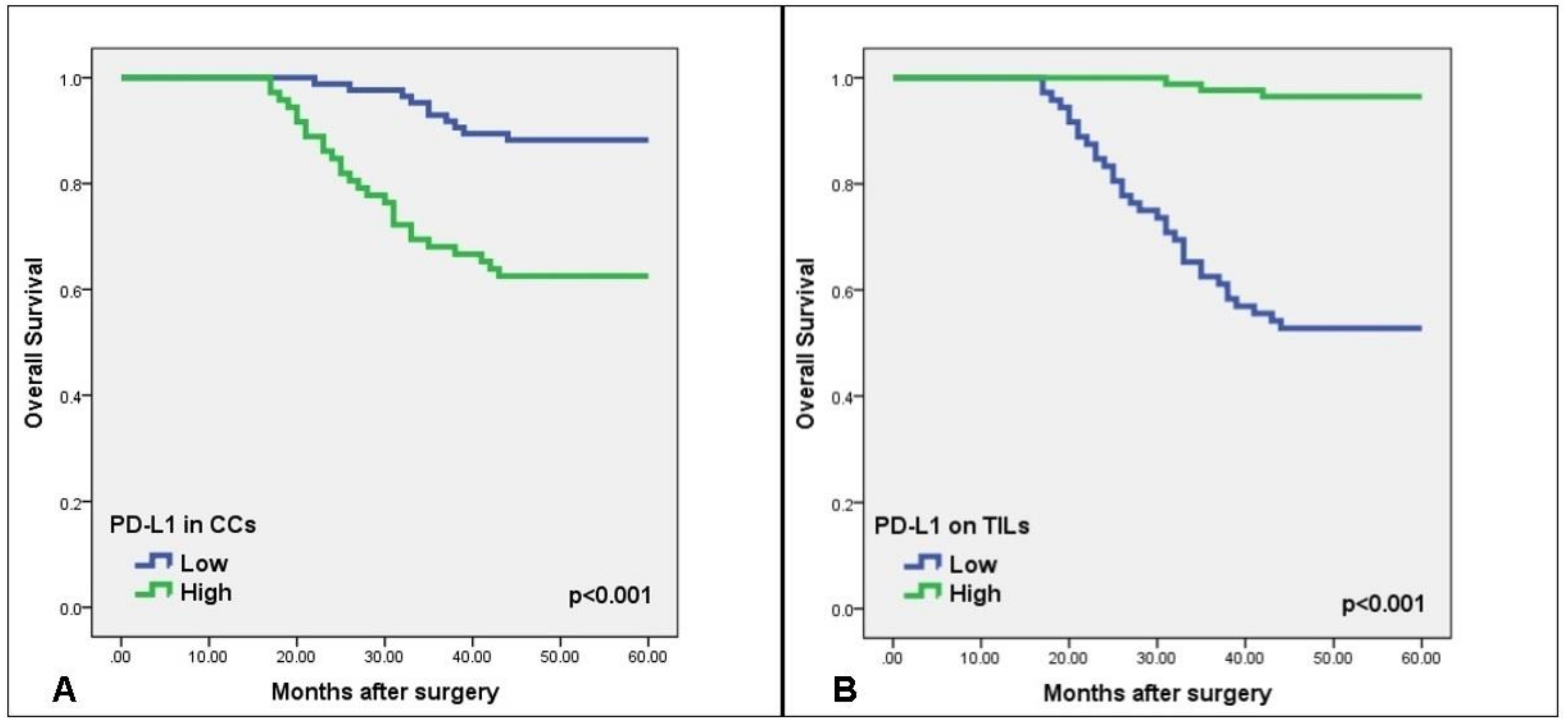 Medicina 55 00723 g004