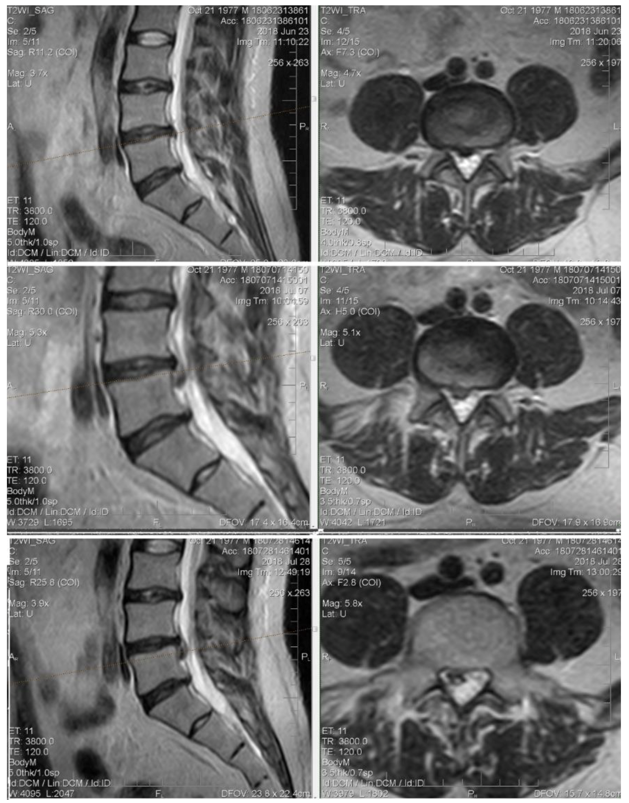 Medicina 55 00736 g007