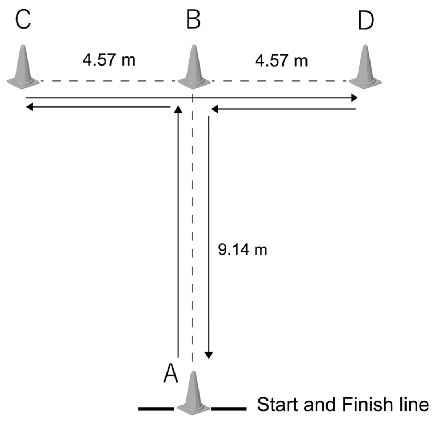 Medicina 55 00740 g001