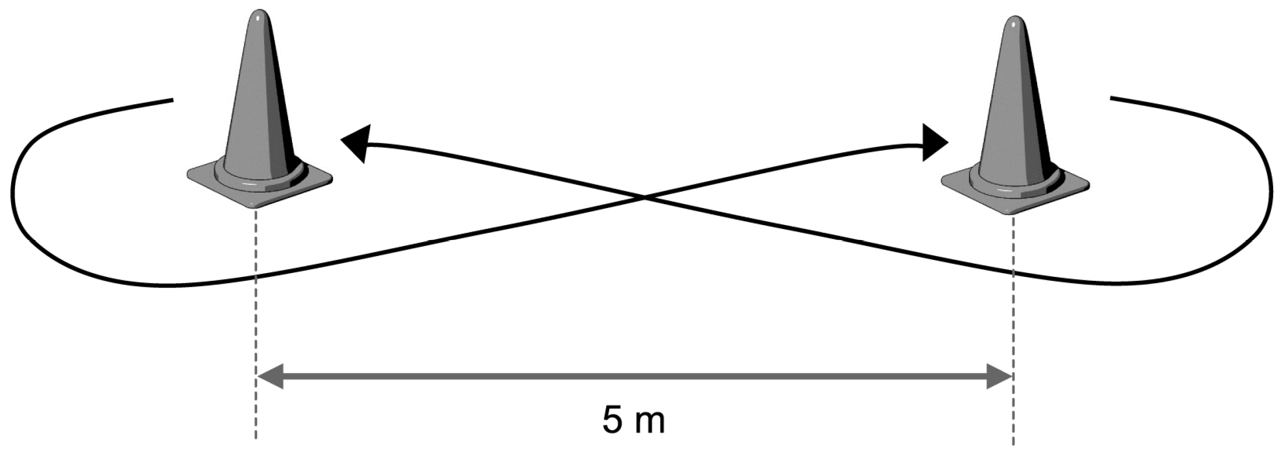 Medicina 55 00740 g002