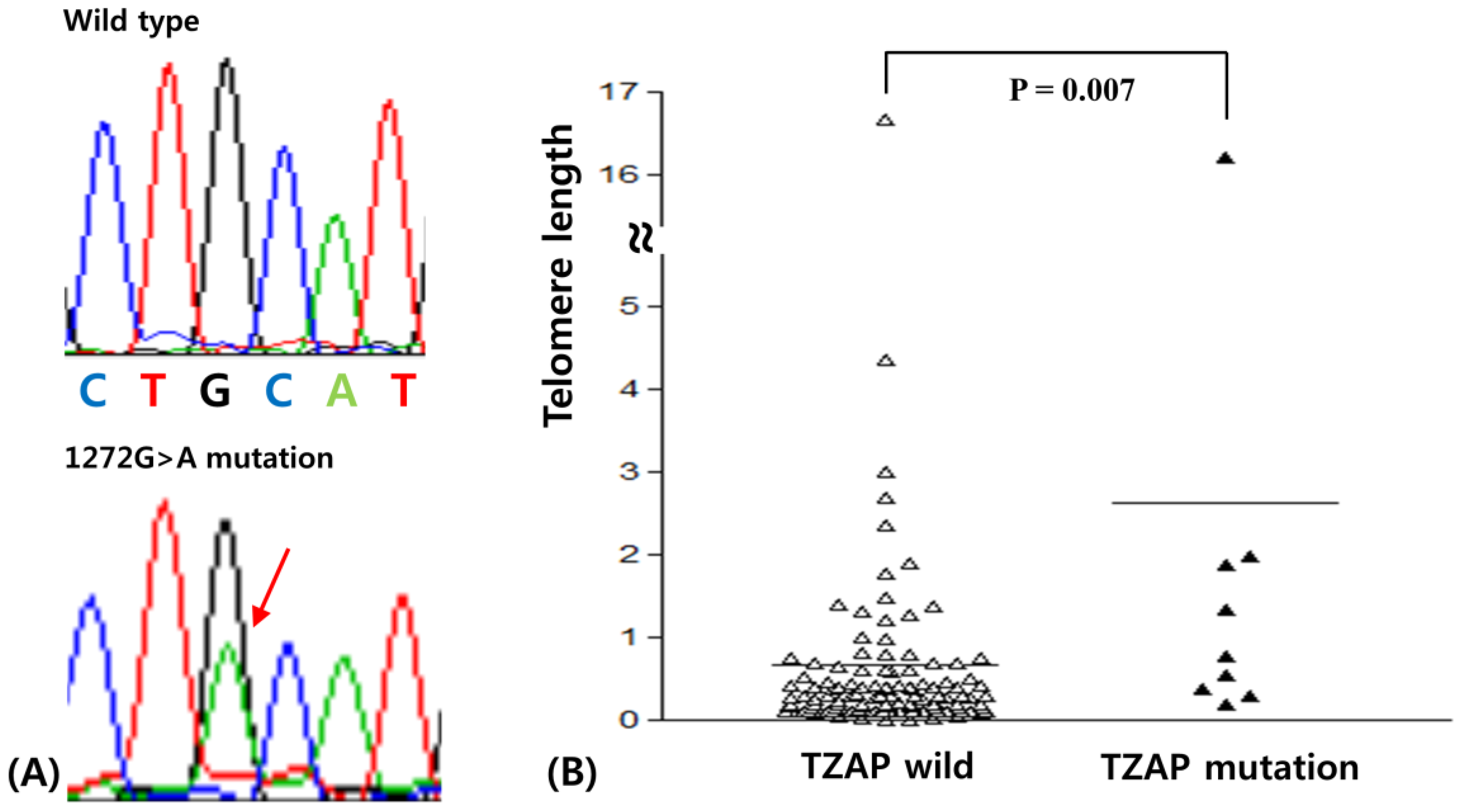 Medicina 55 00748 g001