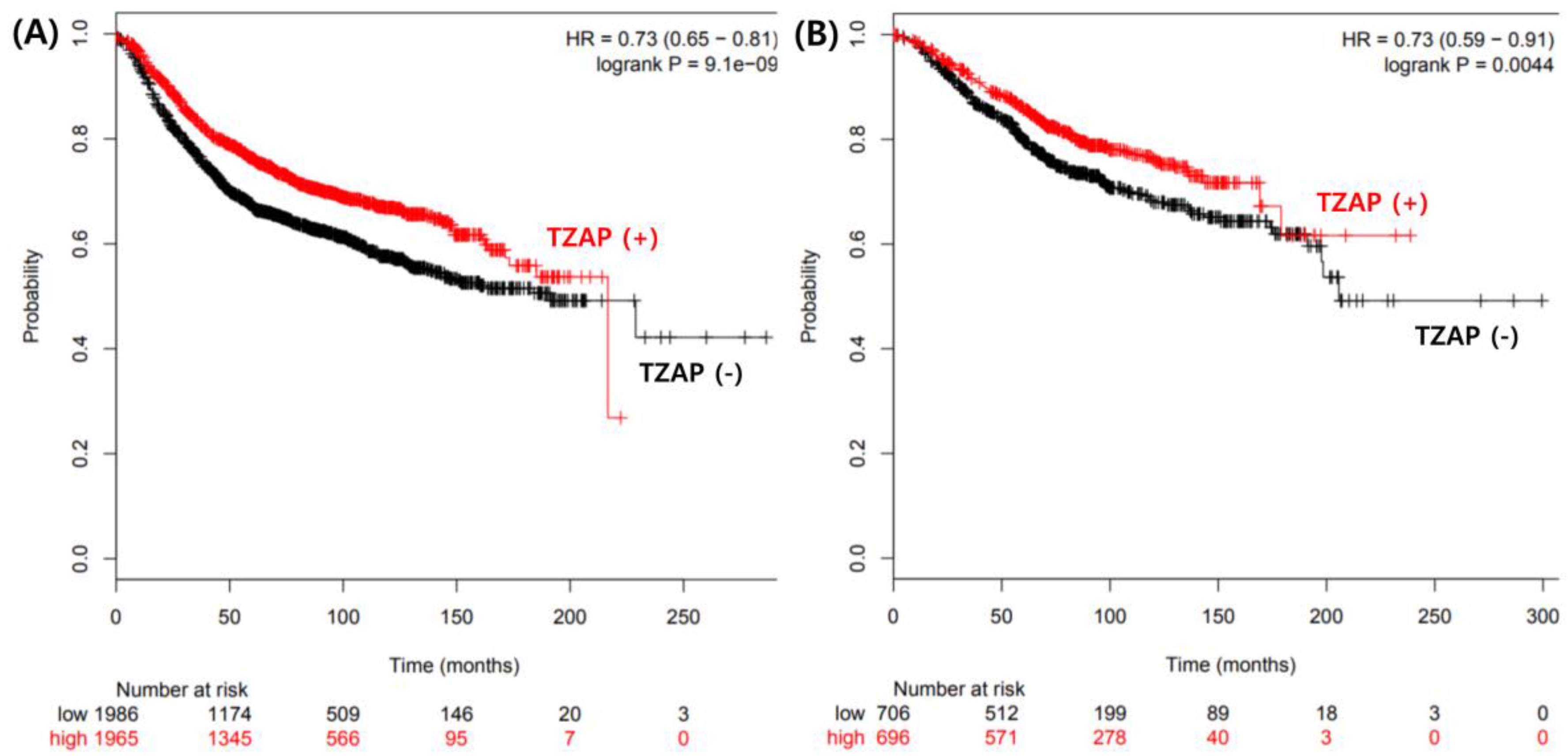 Medicina 55 00748 g003