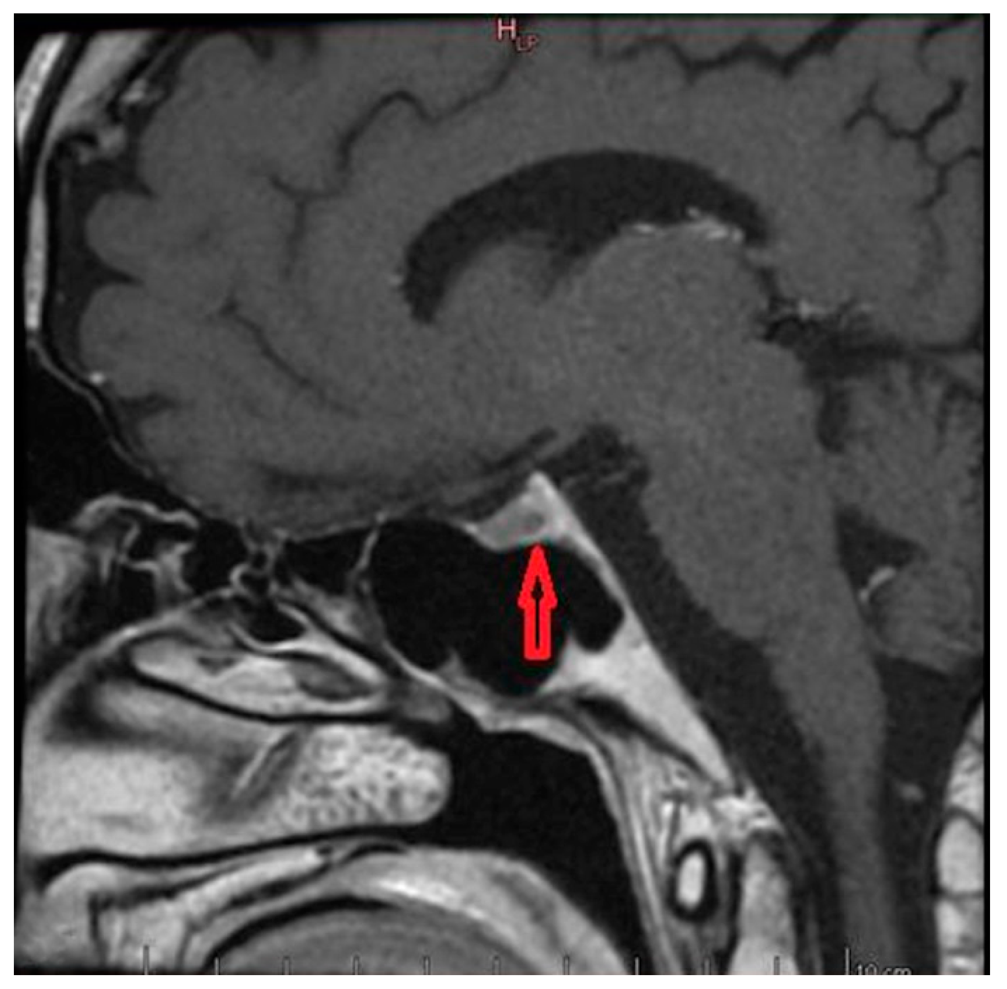 Medicina 55 00759 g002
