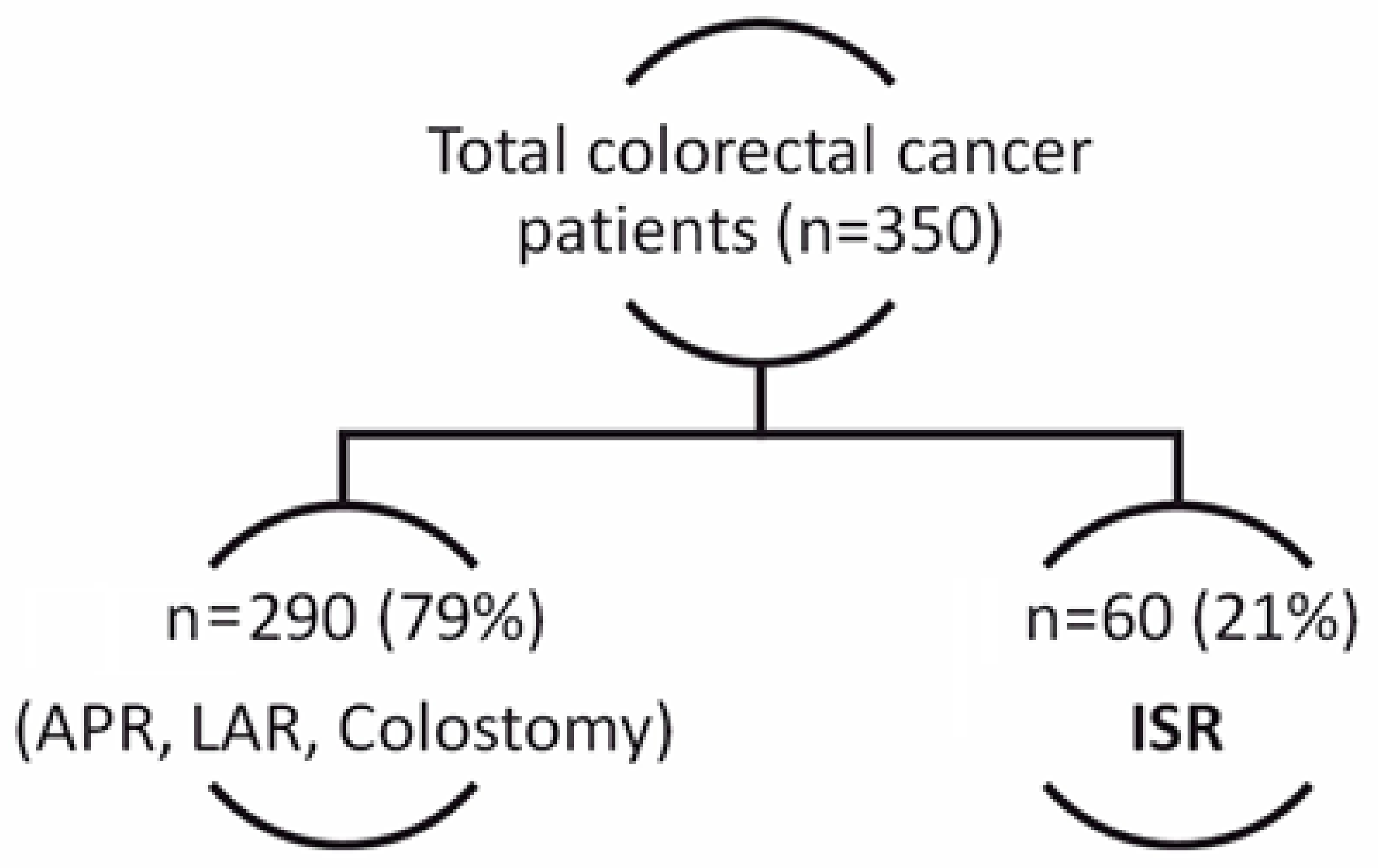 Medicina 55 00764 g001