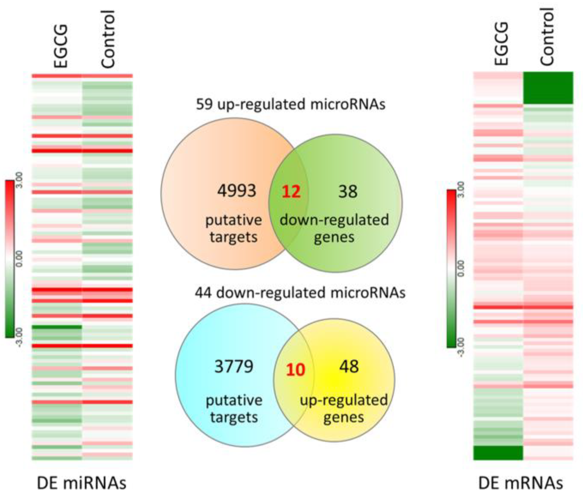 Medicina 55 00768 g002