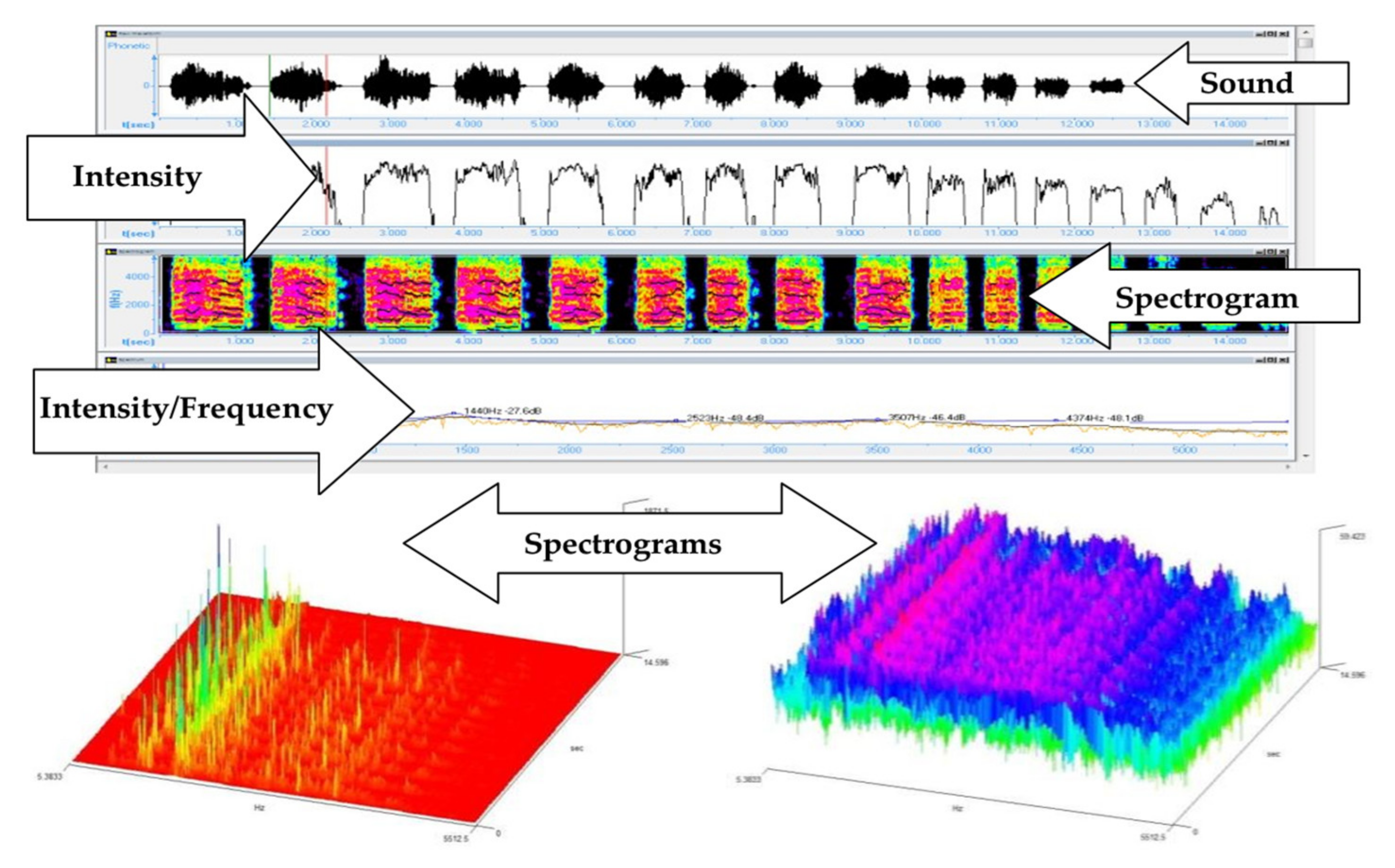 Medicina 55 00779 g008
