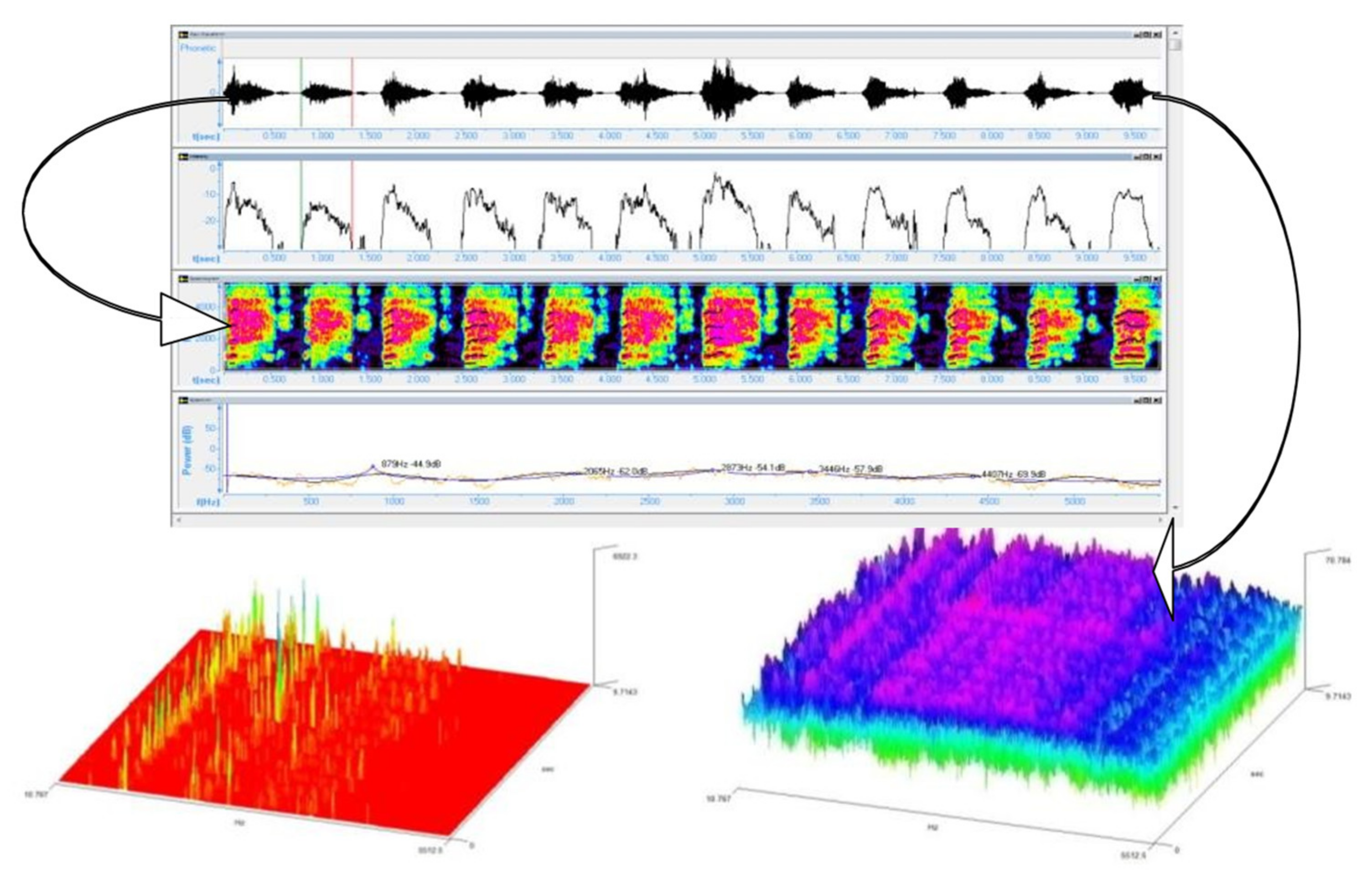 Medicina 55 00779 g009