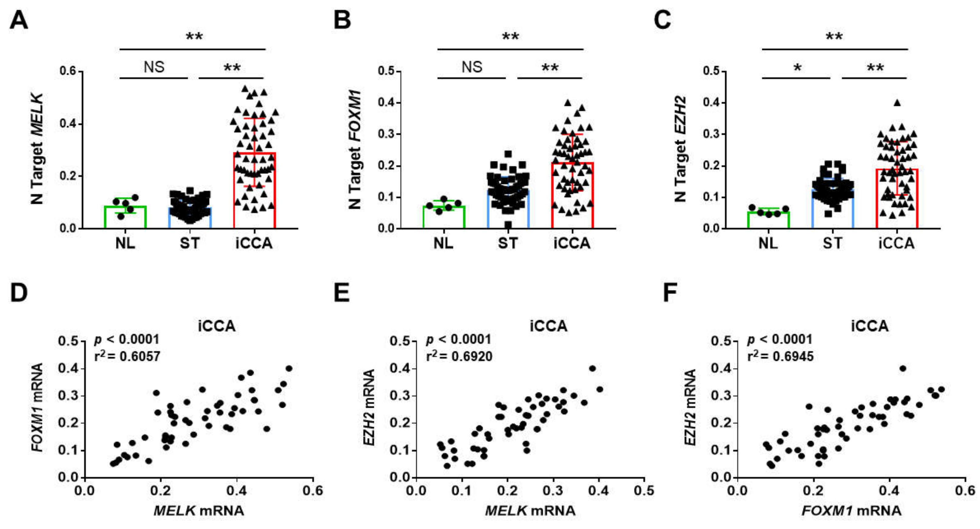 Medicina 56 00001 g001