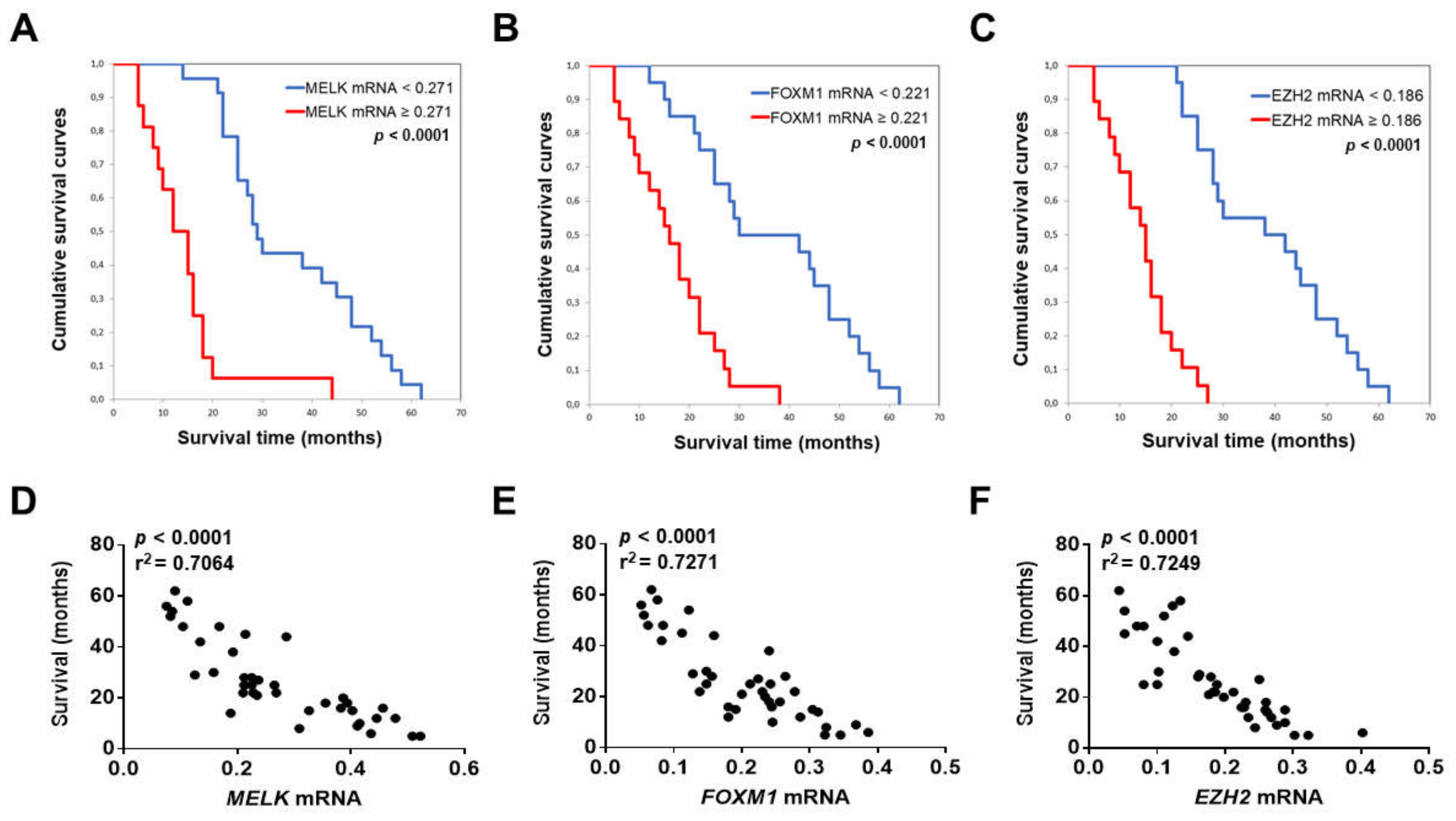 Medicina 56 00001 g004