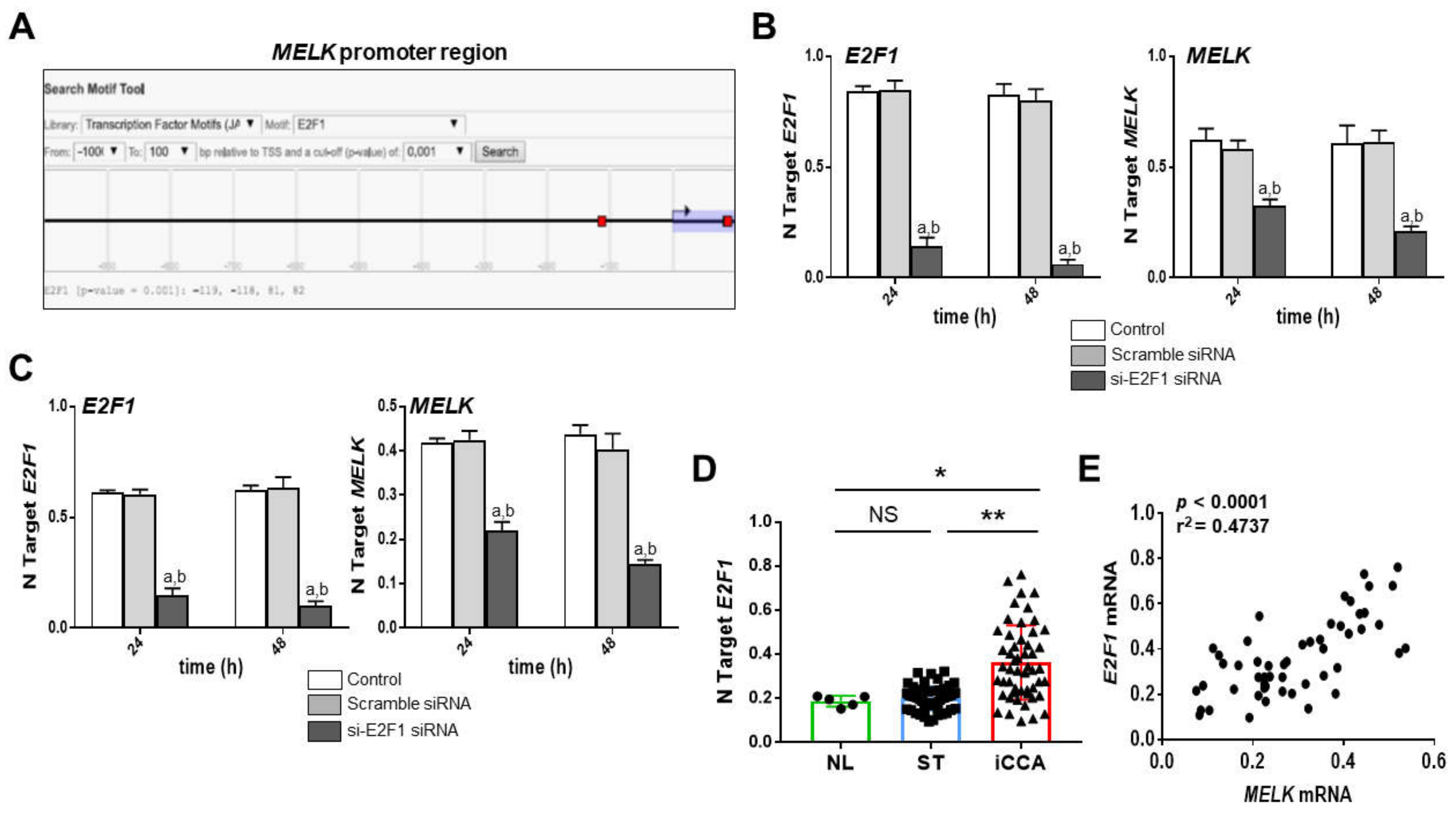 Medicina 56 00001 g009