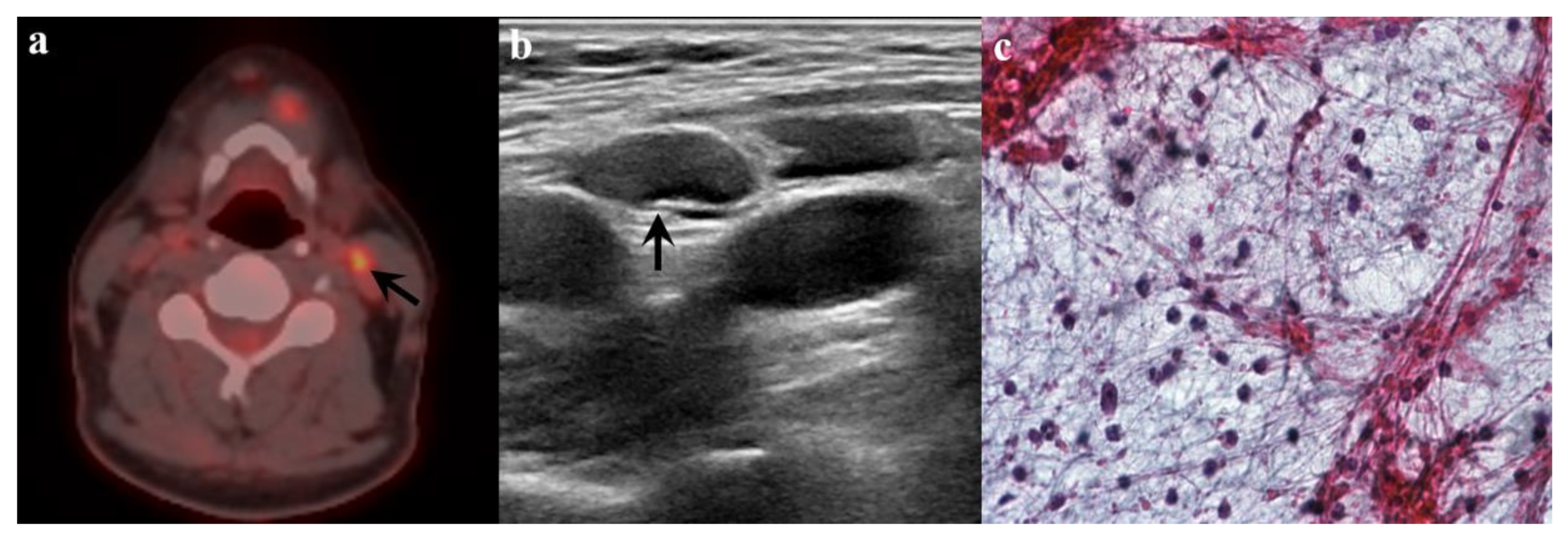 Medicina 56 00016 g004