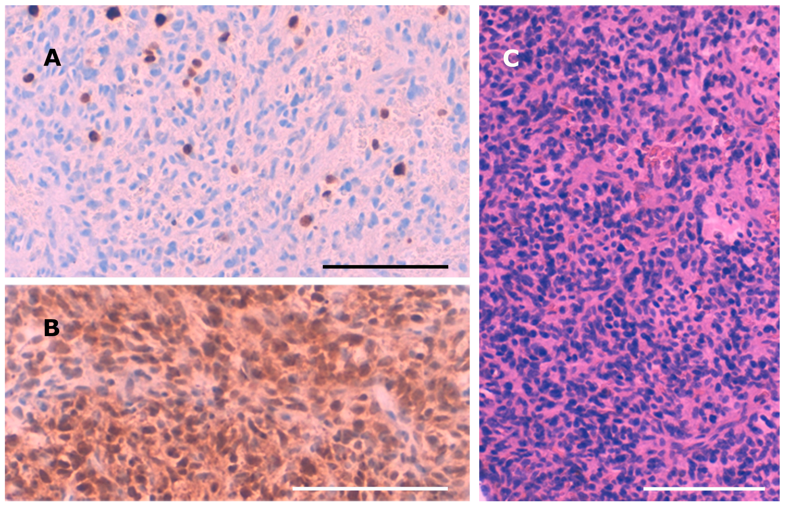 Medicina 56 00034 g002 550