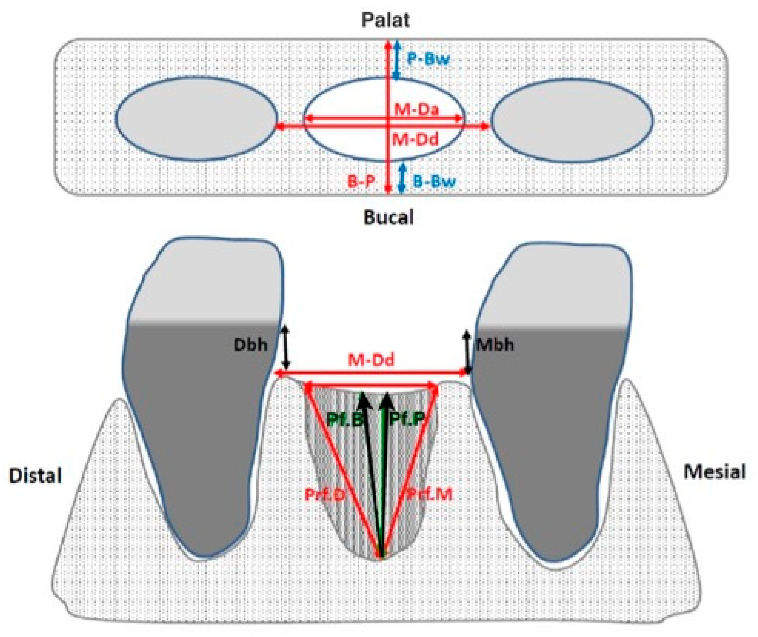 Medicina 56 00046 g002