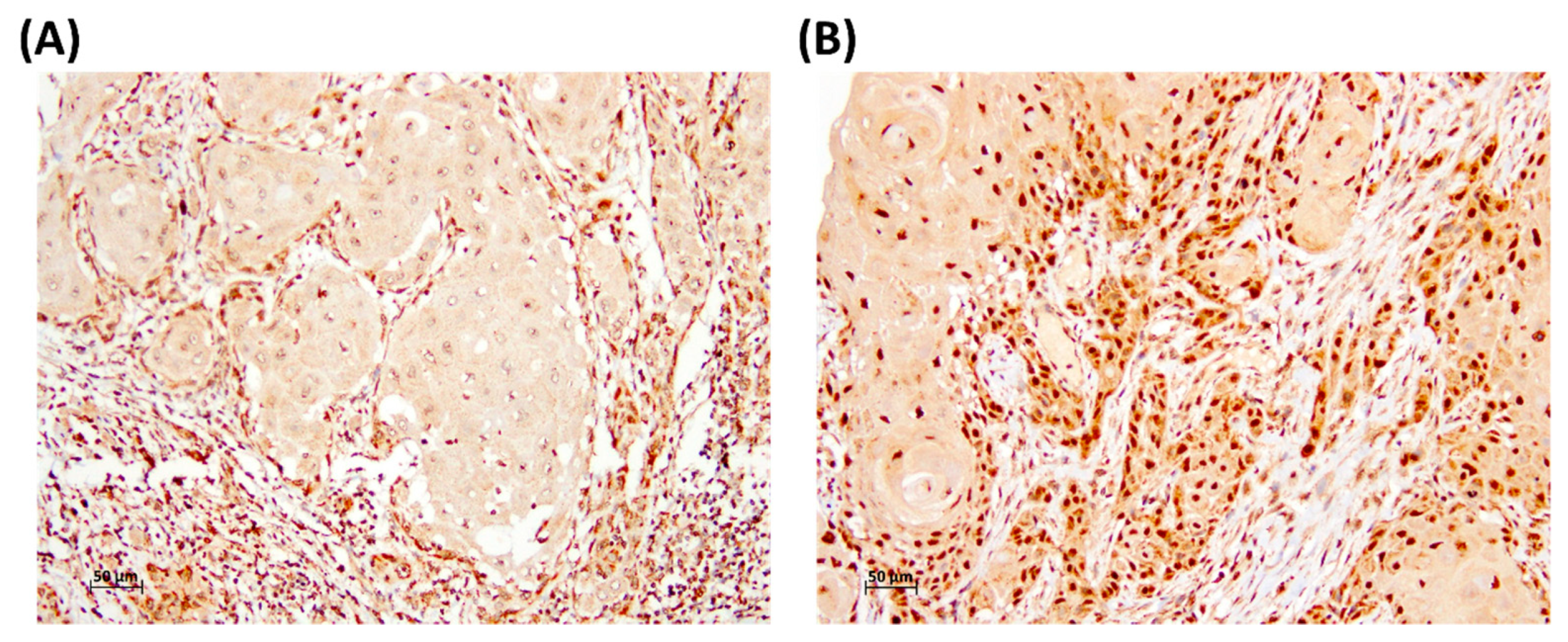 Medicina 56 00057 g001