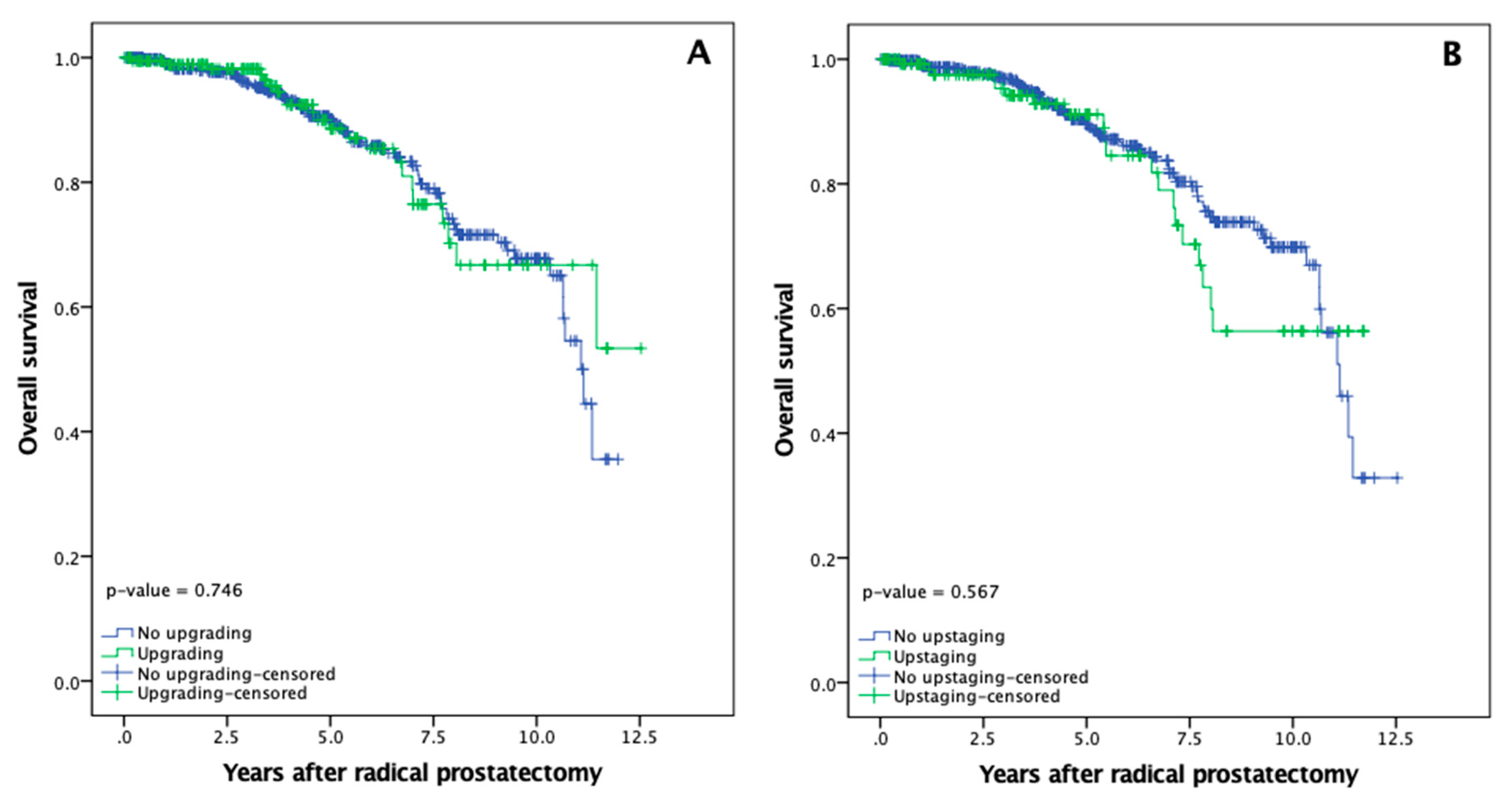 Medicina 56 00061 g003