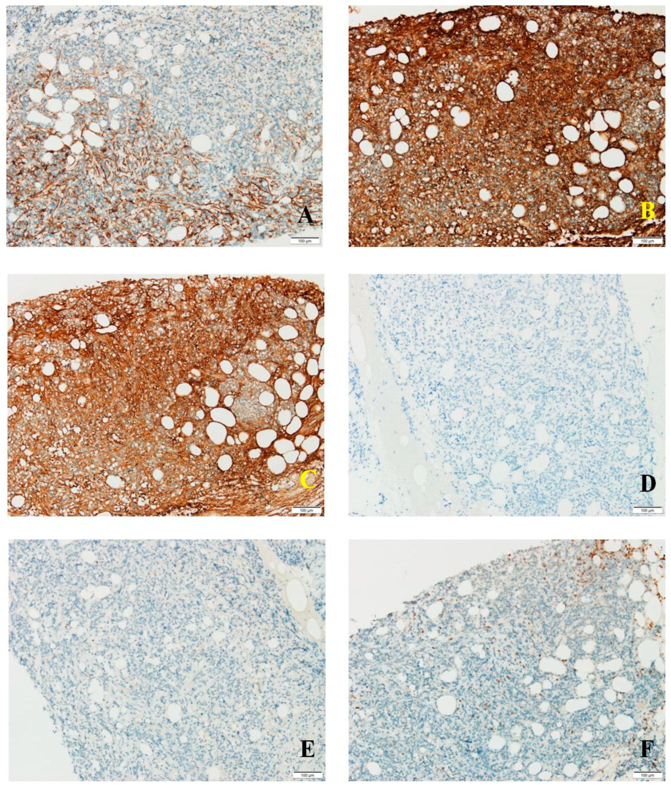 Medicina 56 00062 g002