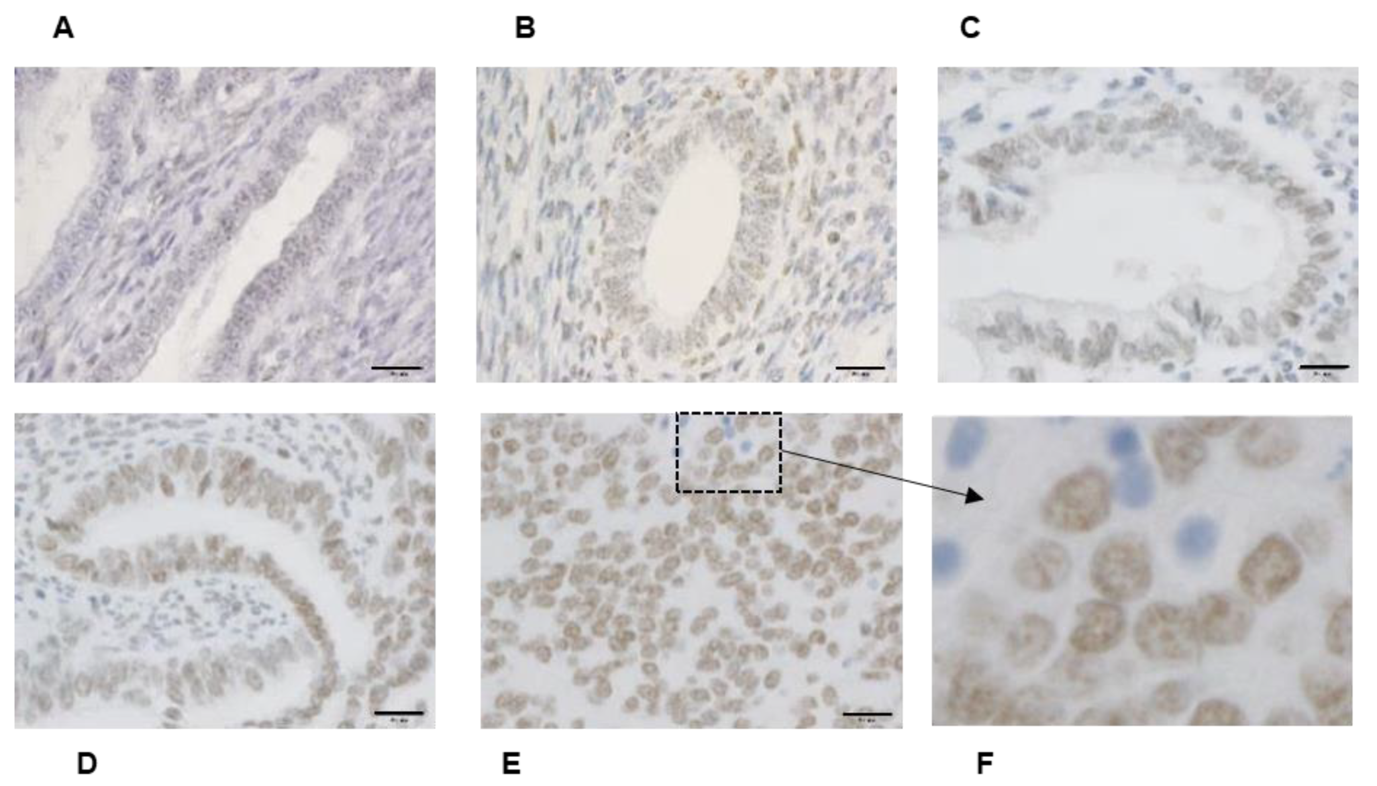Medicina 56 00072 g001