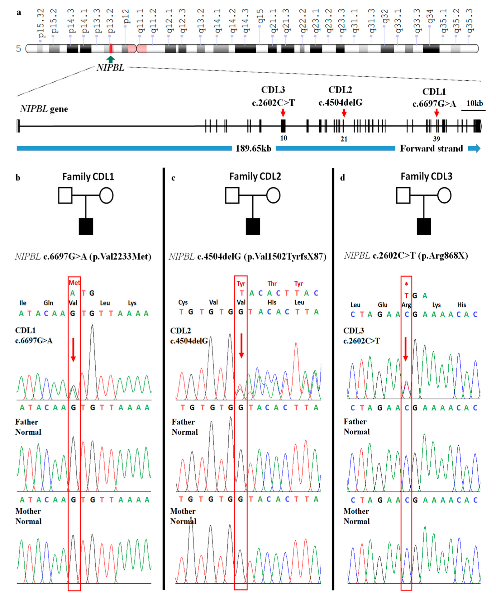 Medicina 56 00076 g002 Medicina 56 00076 g002