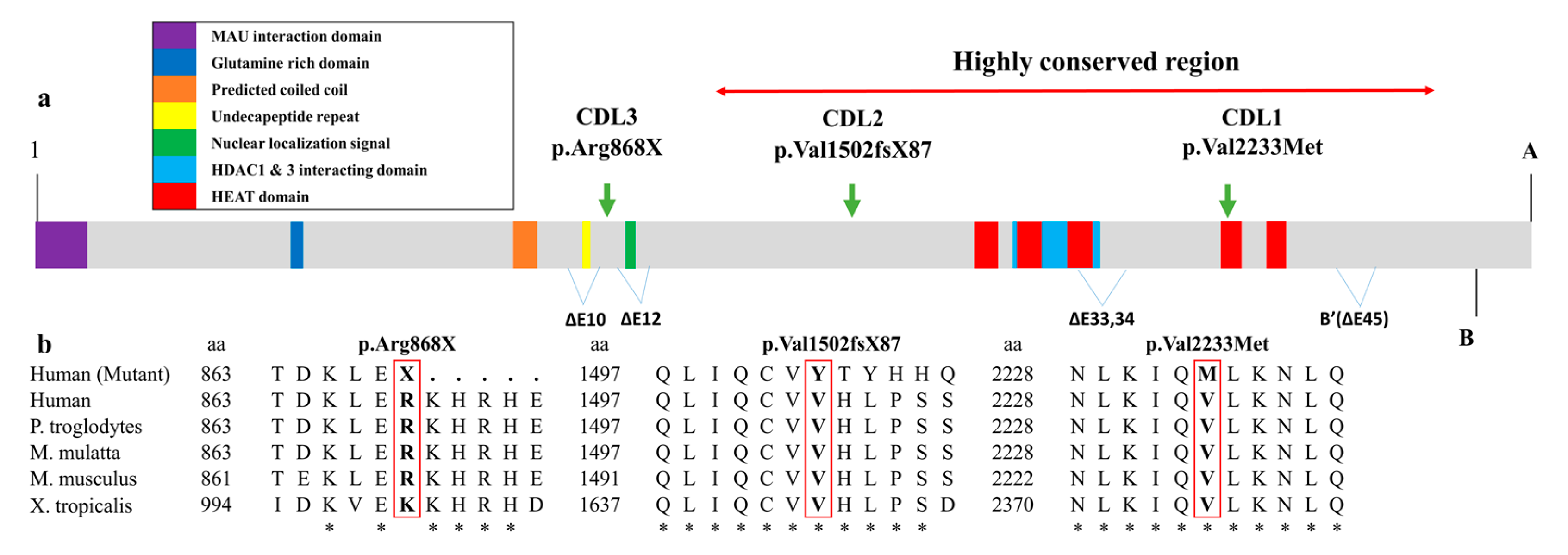 Medicina 56 00076 g003 Medicina 56 00076 g003