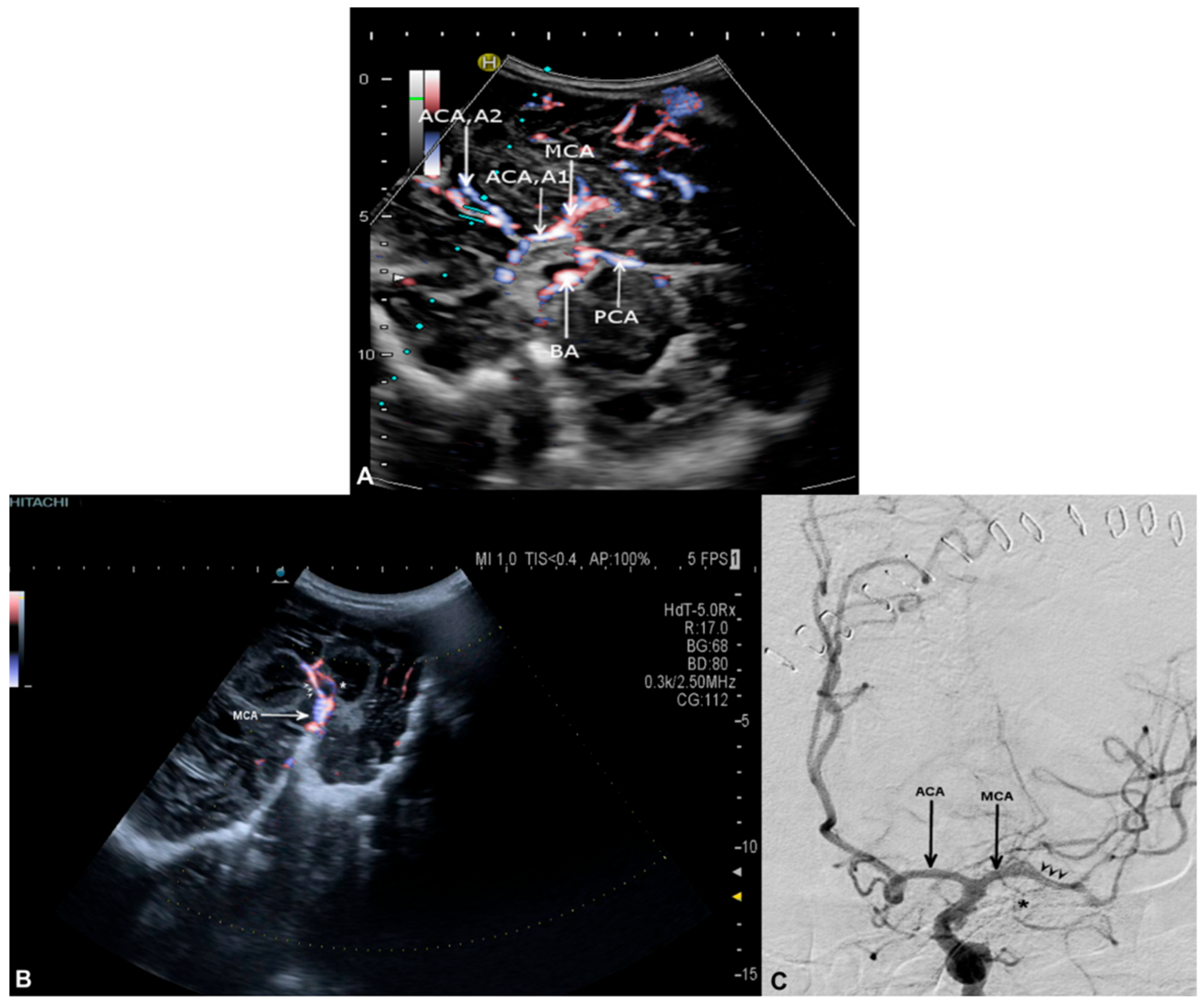 Medicina 56 00085 g003