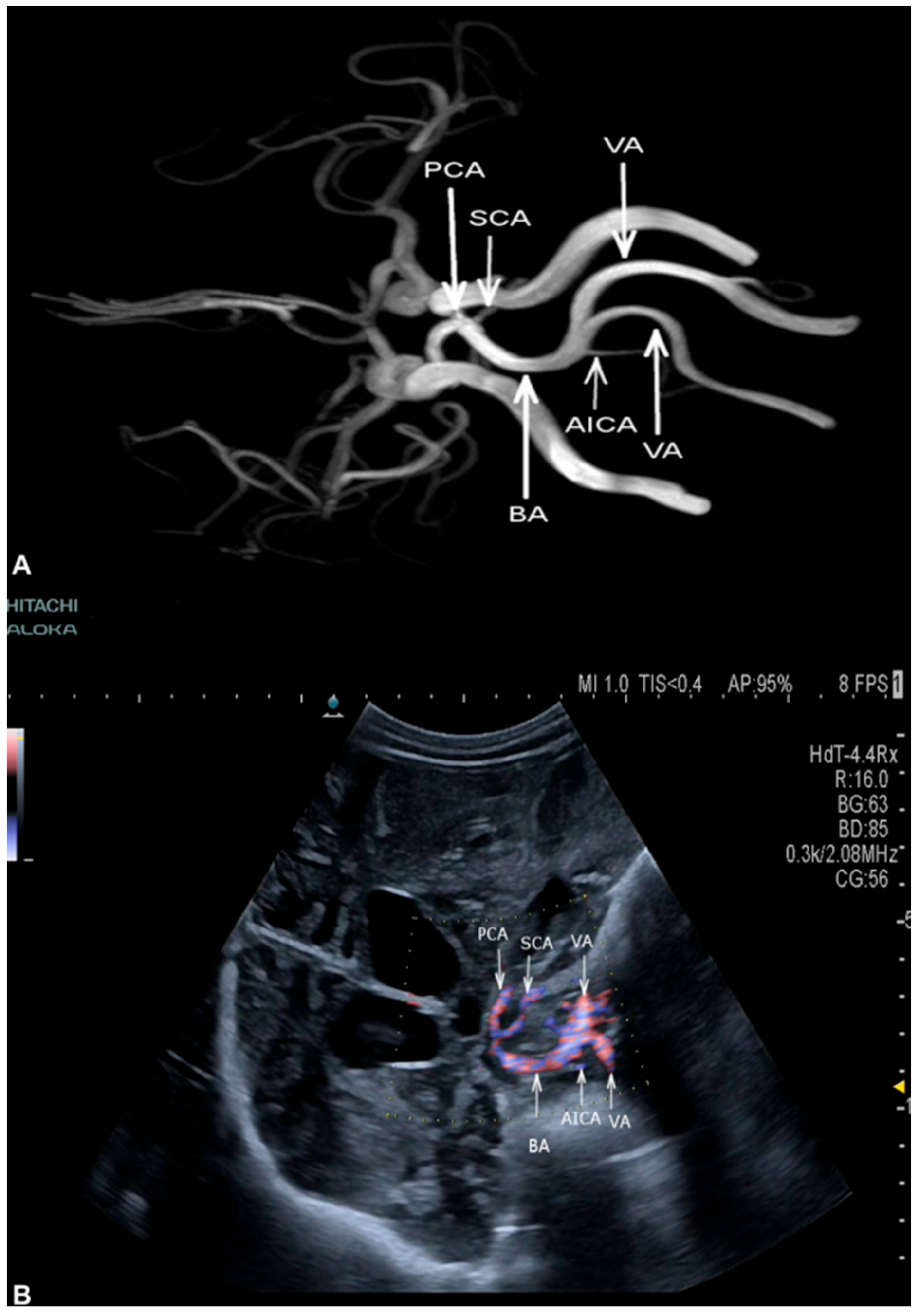 Medicina 56 00085 g004