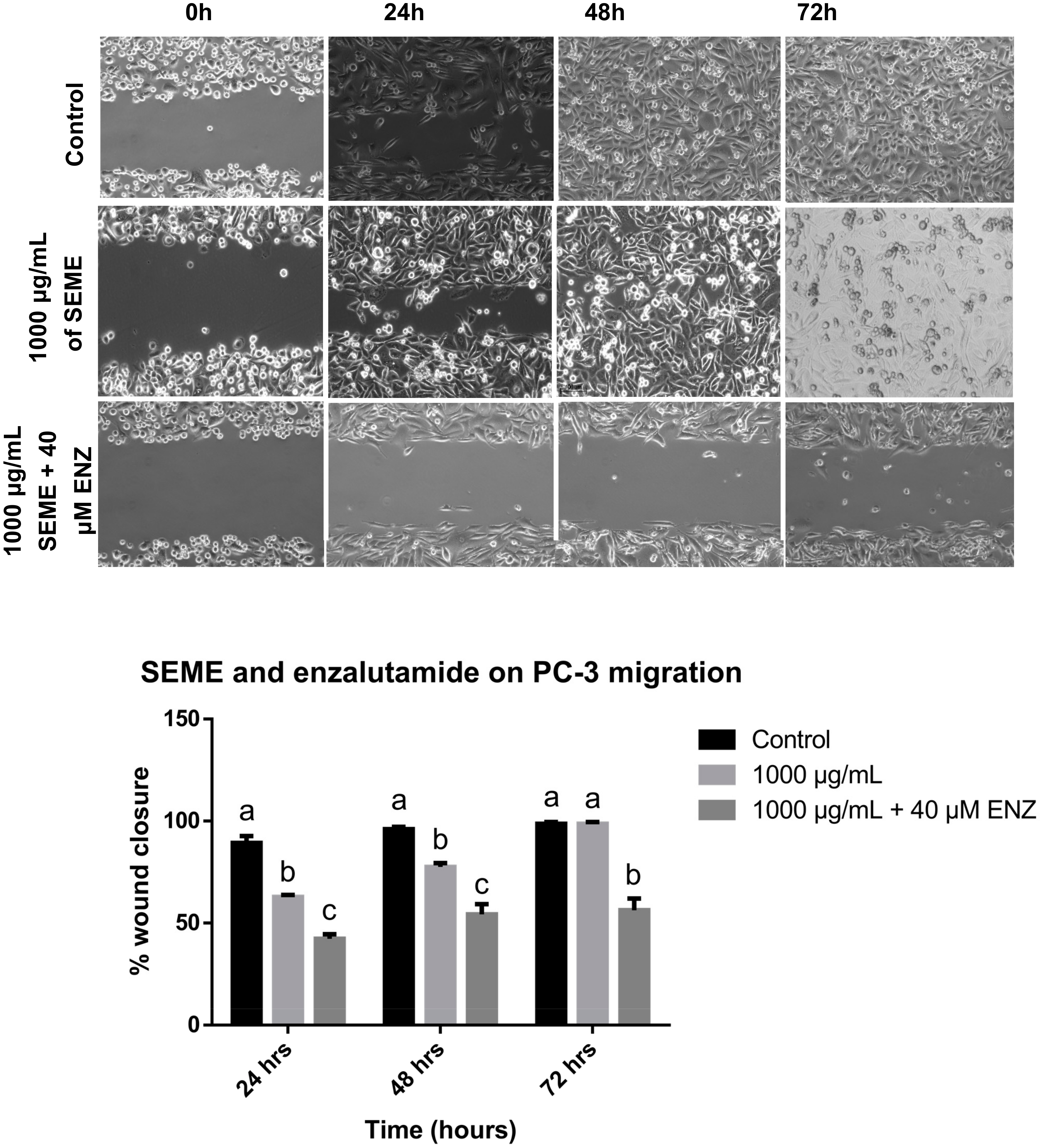 Medicina Free FullText Stevia Eupatoria and Stevia Pilosa Extracts